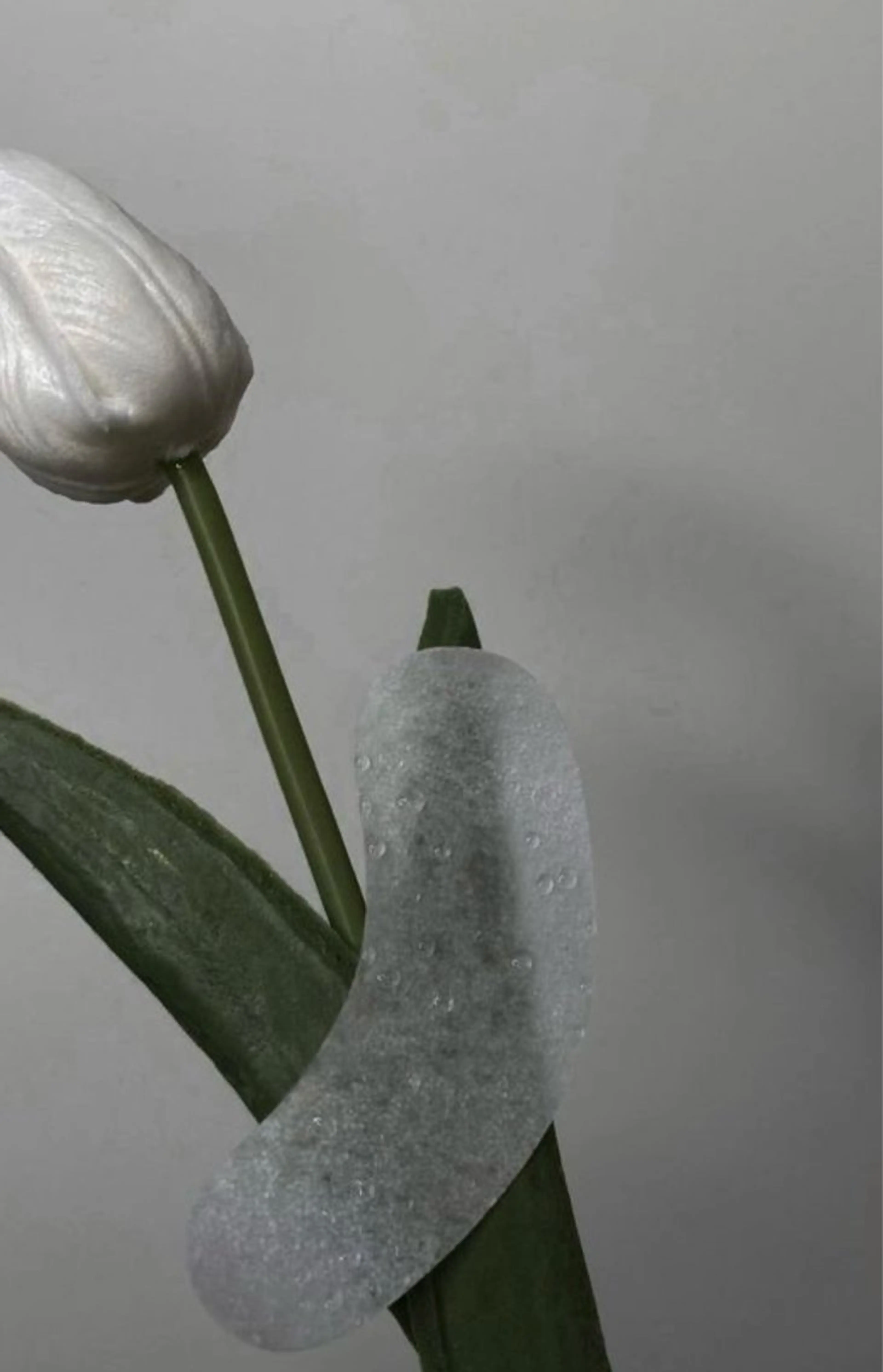 マツエク・マツパ eyelly🌿 nanaのマツエク・マツパデザイン