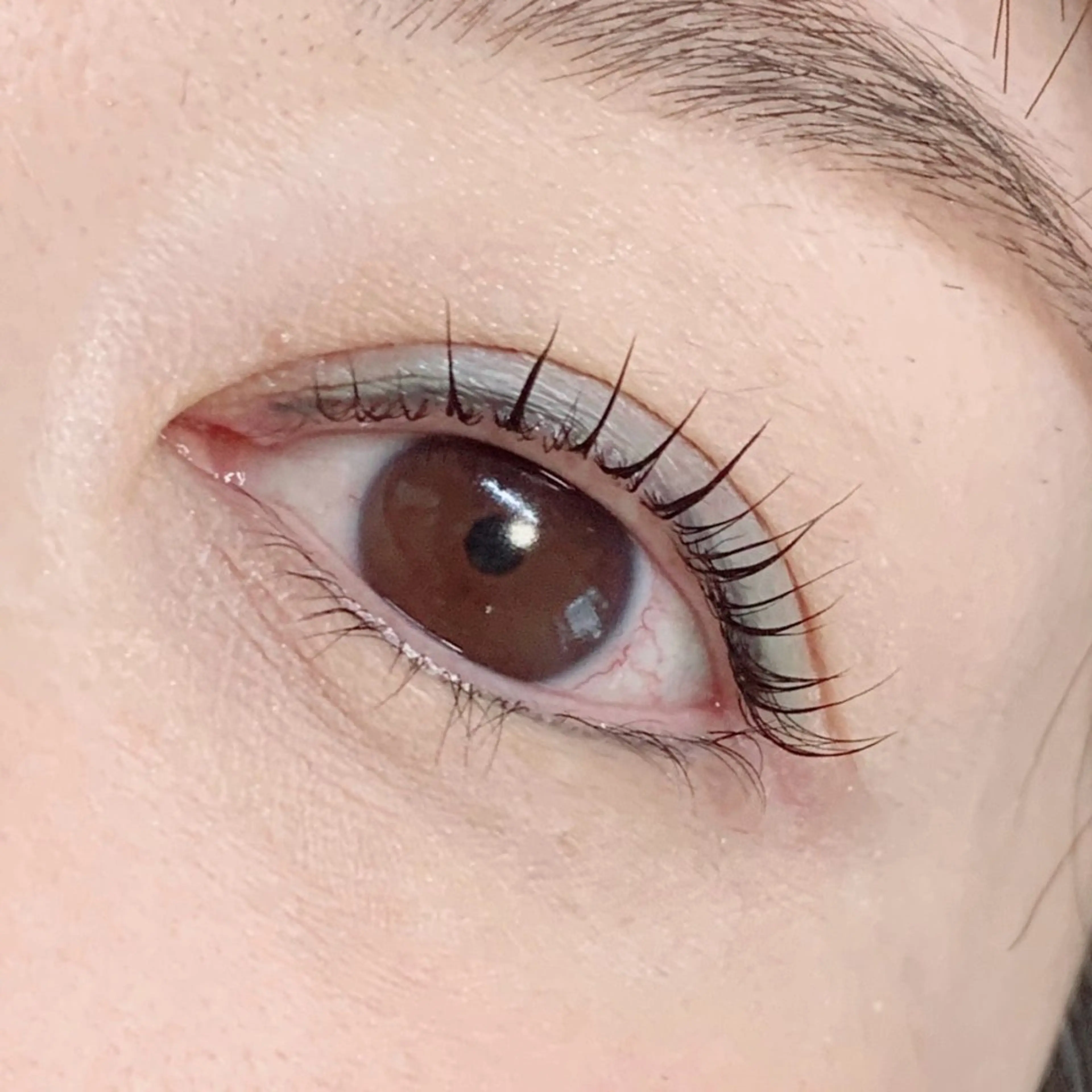 マツエク・マツパ マツパ lifra CHISAのマツエク・マツパデザイン