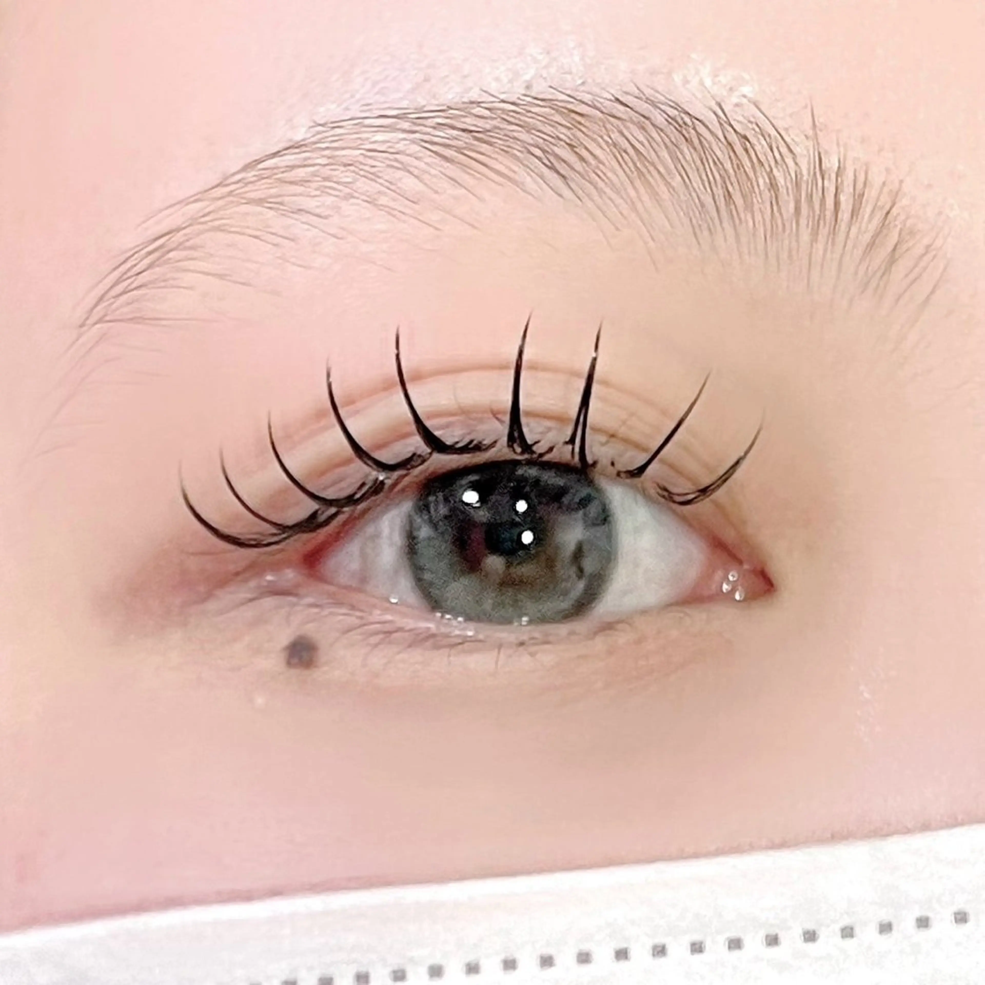 無料☆【モデル募集】上下パリジェンヌラッシュリフト/上下まつげパーマ🌟の写真