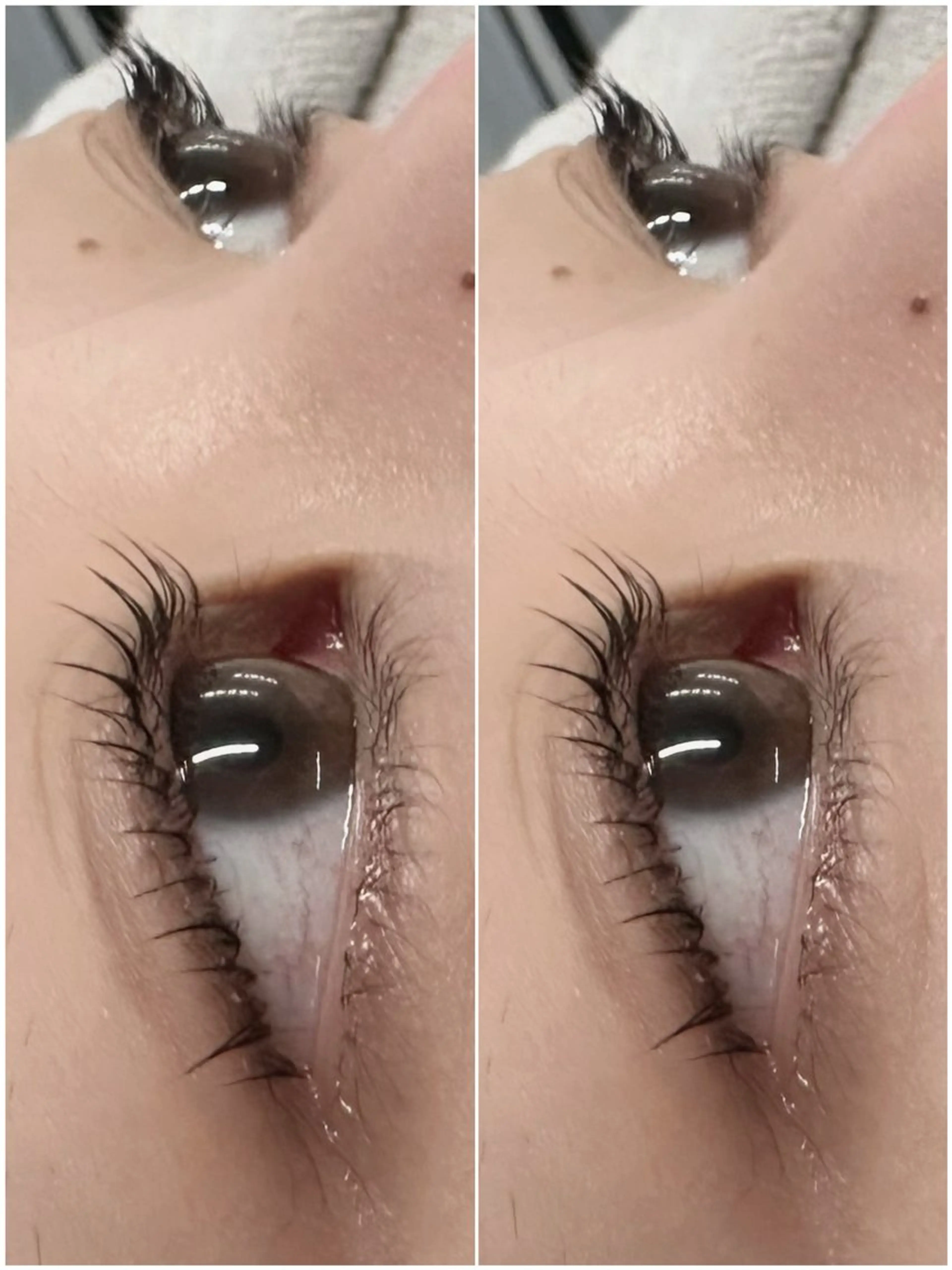 マツエク・マツパ ネモア久留米店 🌼AYUMI🌼のマツエク・マツパデザイン