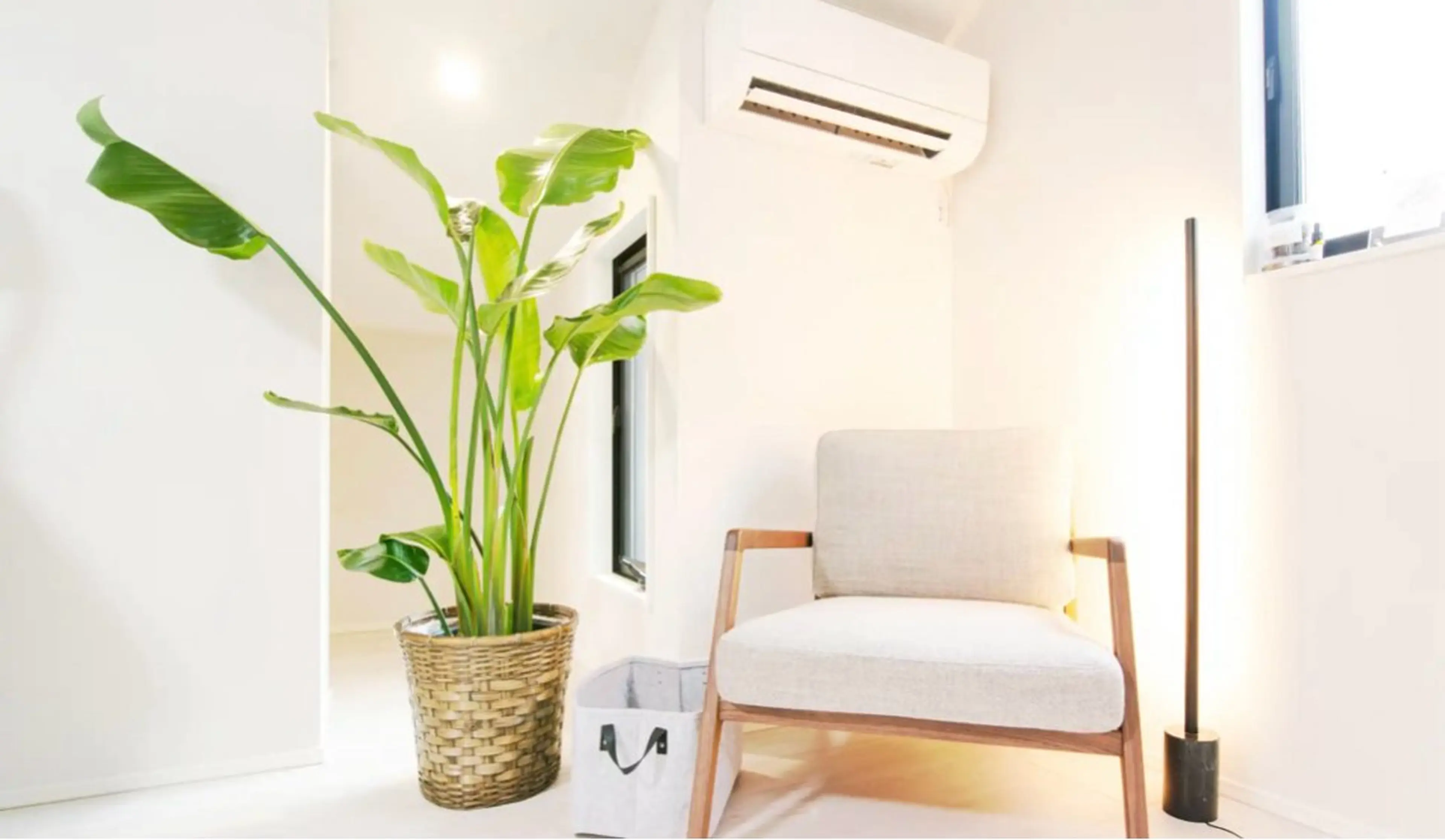 六本木脱毛andS 店長Sachiのエステ・リラクイメージ