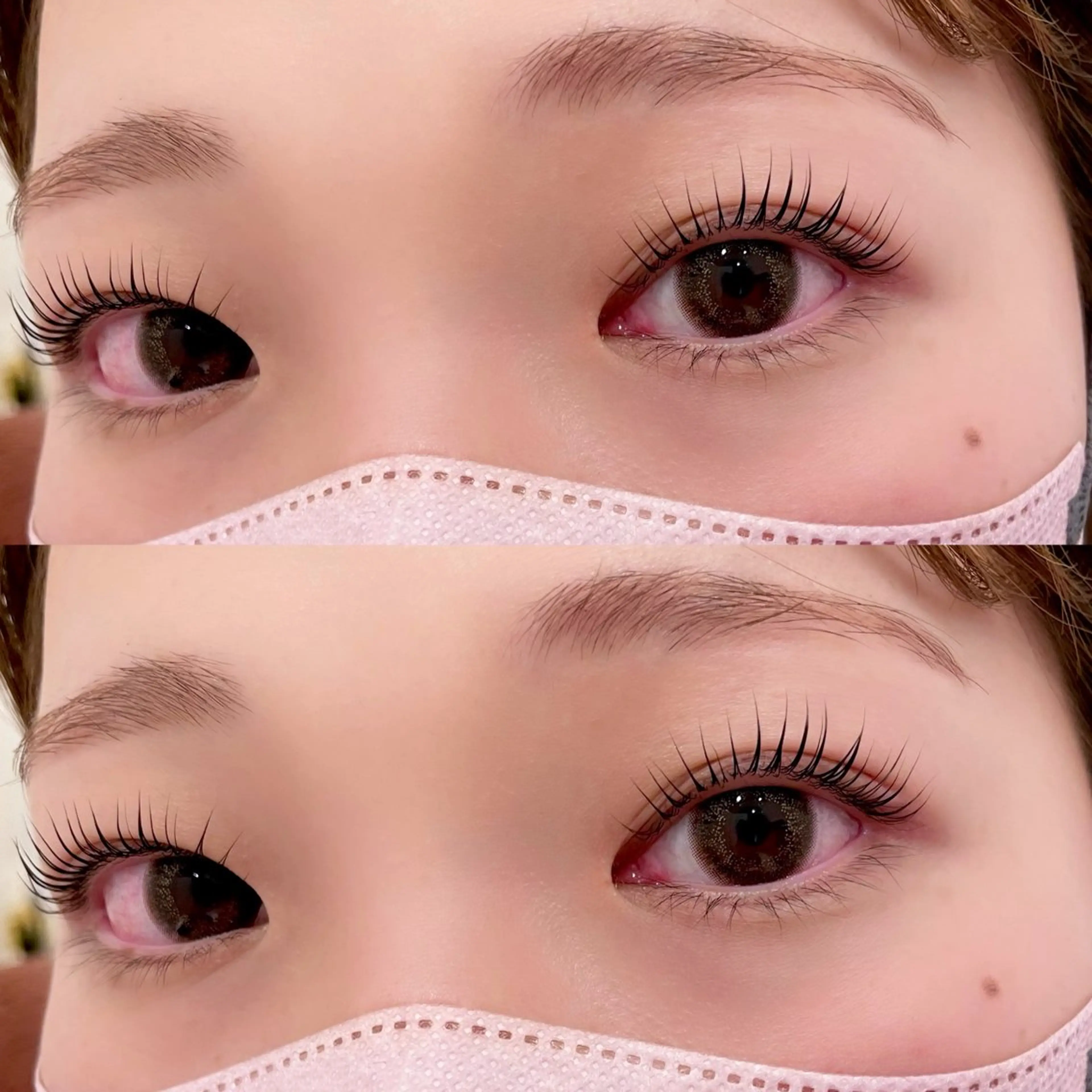 🦋パリジェンヌラッシュリフト🦋の写真