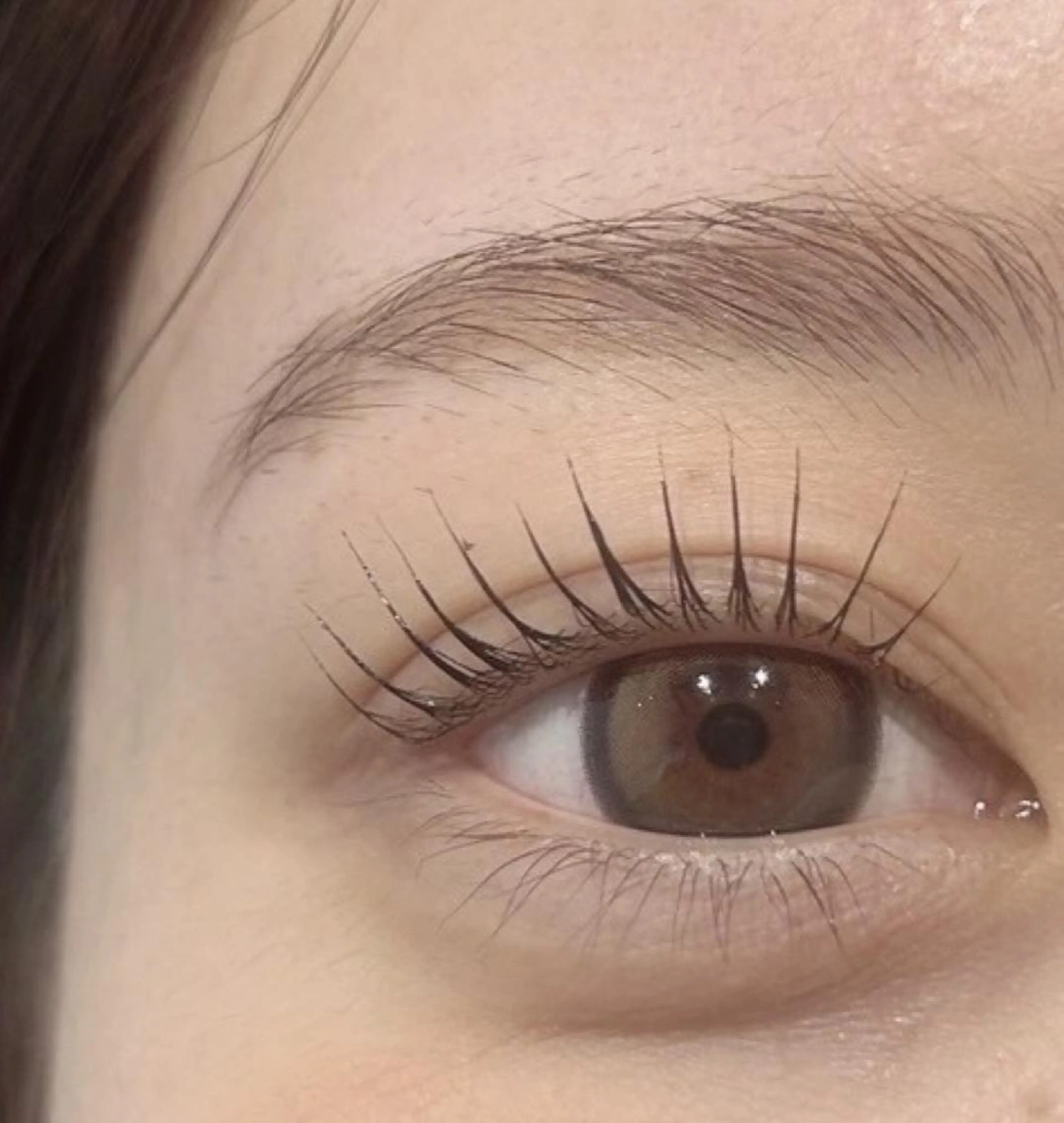 マツエク・マツパ 束感まつ毛 フラットラッシュ 韓国風マツエク パリジェンヌラッシュリフト まつげパーマ マツパ Biolus／天王寺 2号店🌸noa🌸のマツエク・マツパデザイン