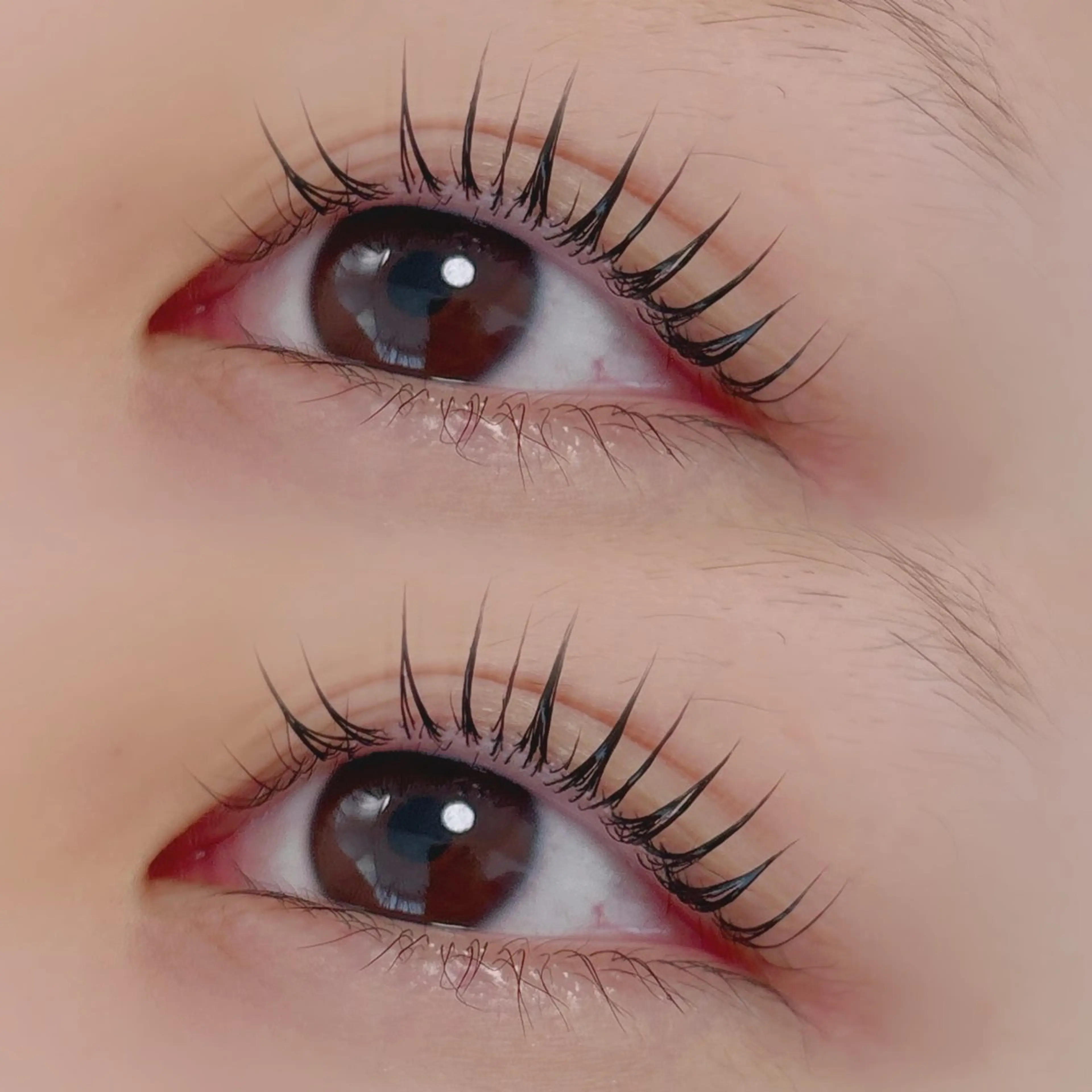 マツエク・マツパ パリジェンヌラッシュリフト eyelashZen MIYUU❄️のマツエク・マツパデザイン