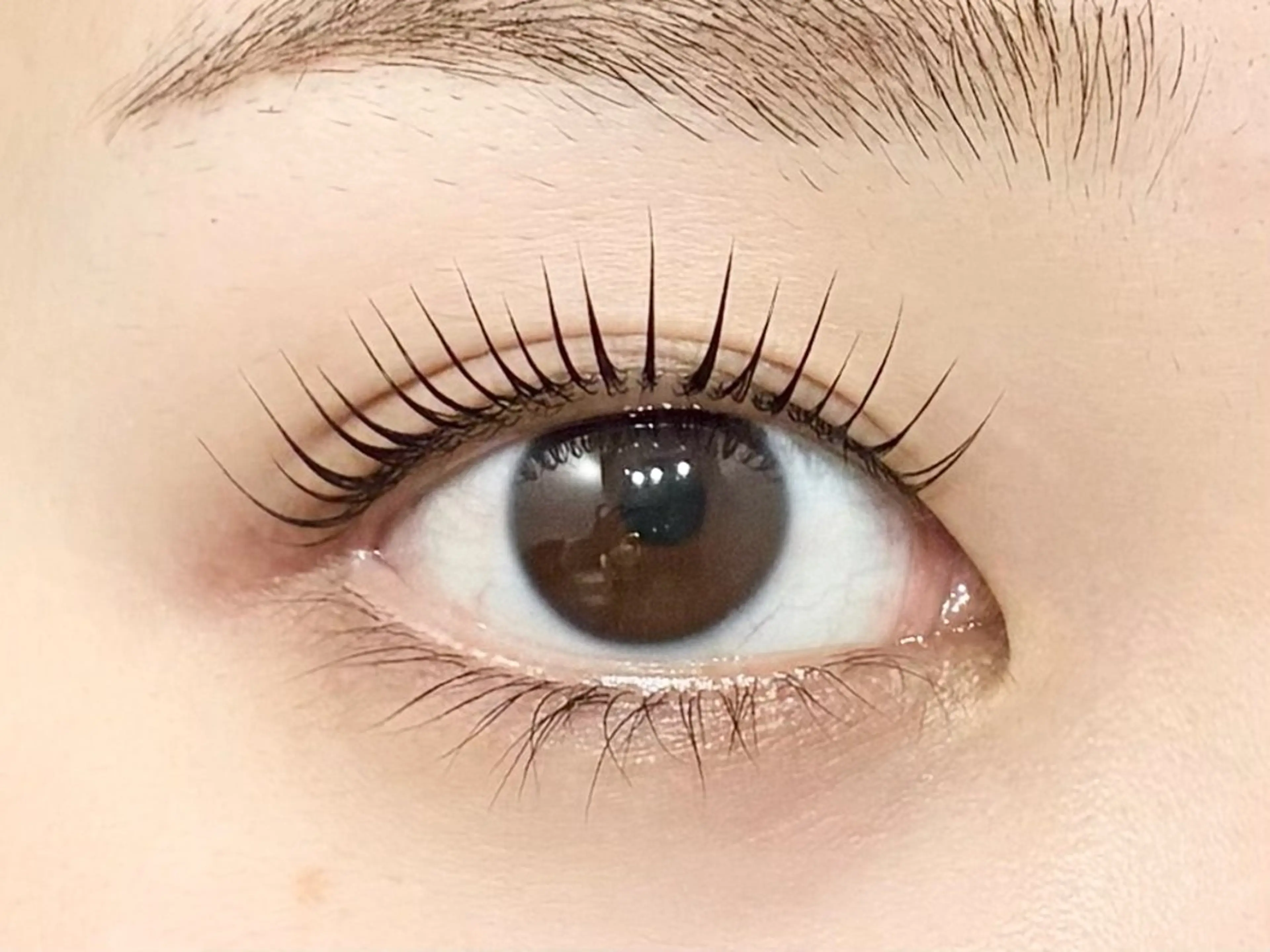 マツエク・マツパ パリジェンヌラッシュリフト マツパ アイラッシュサロン【エフドゥ】所属・中村彩香 (エフドゥ)のマツエク・マツパデザイン