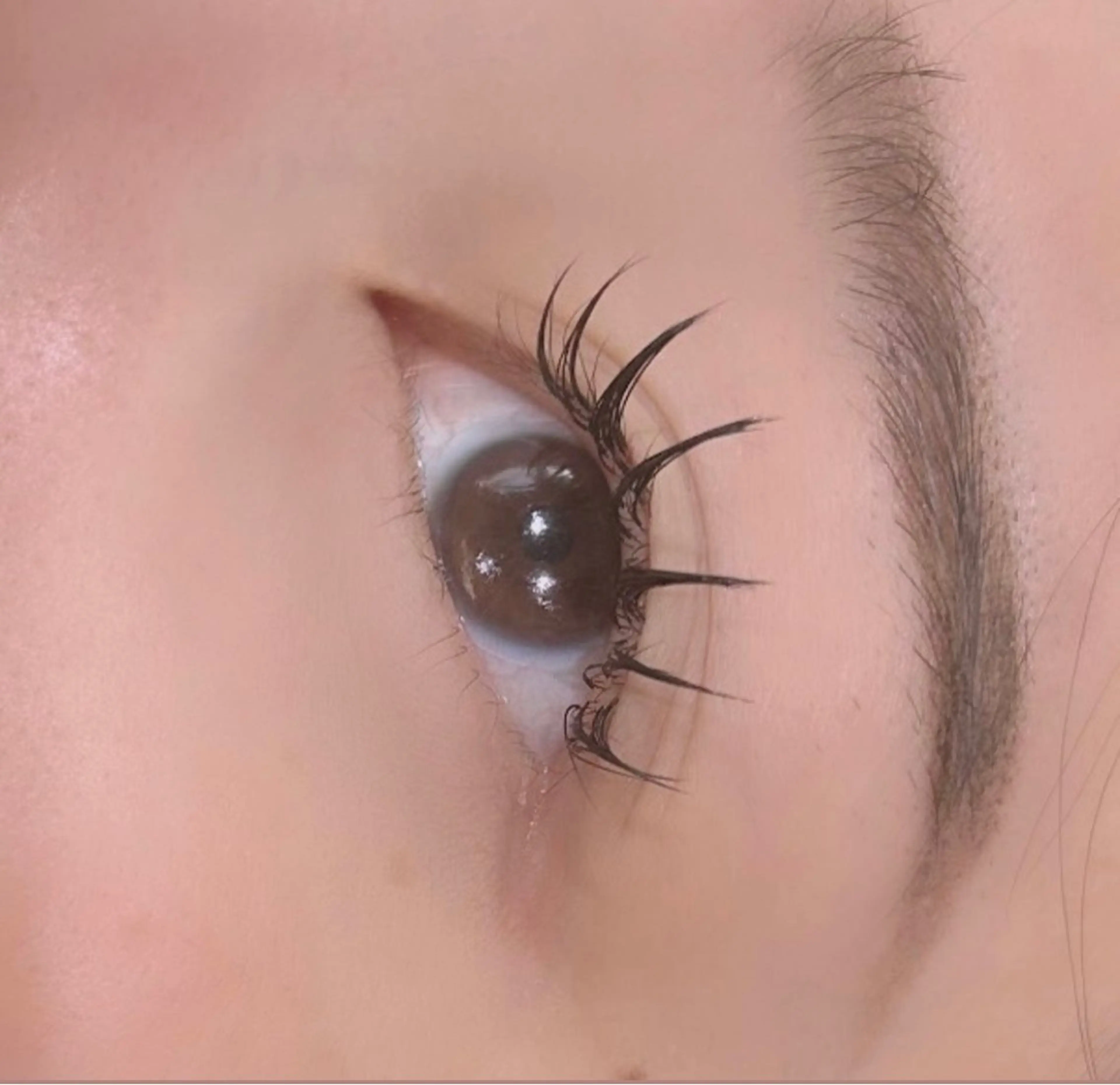 マツエク・マツパ マツエク hair&eye🎀 /momoKaのマツエク・マツパデザイン