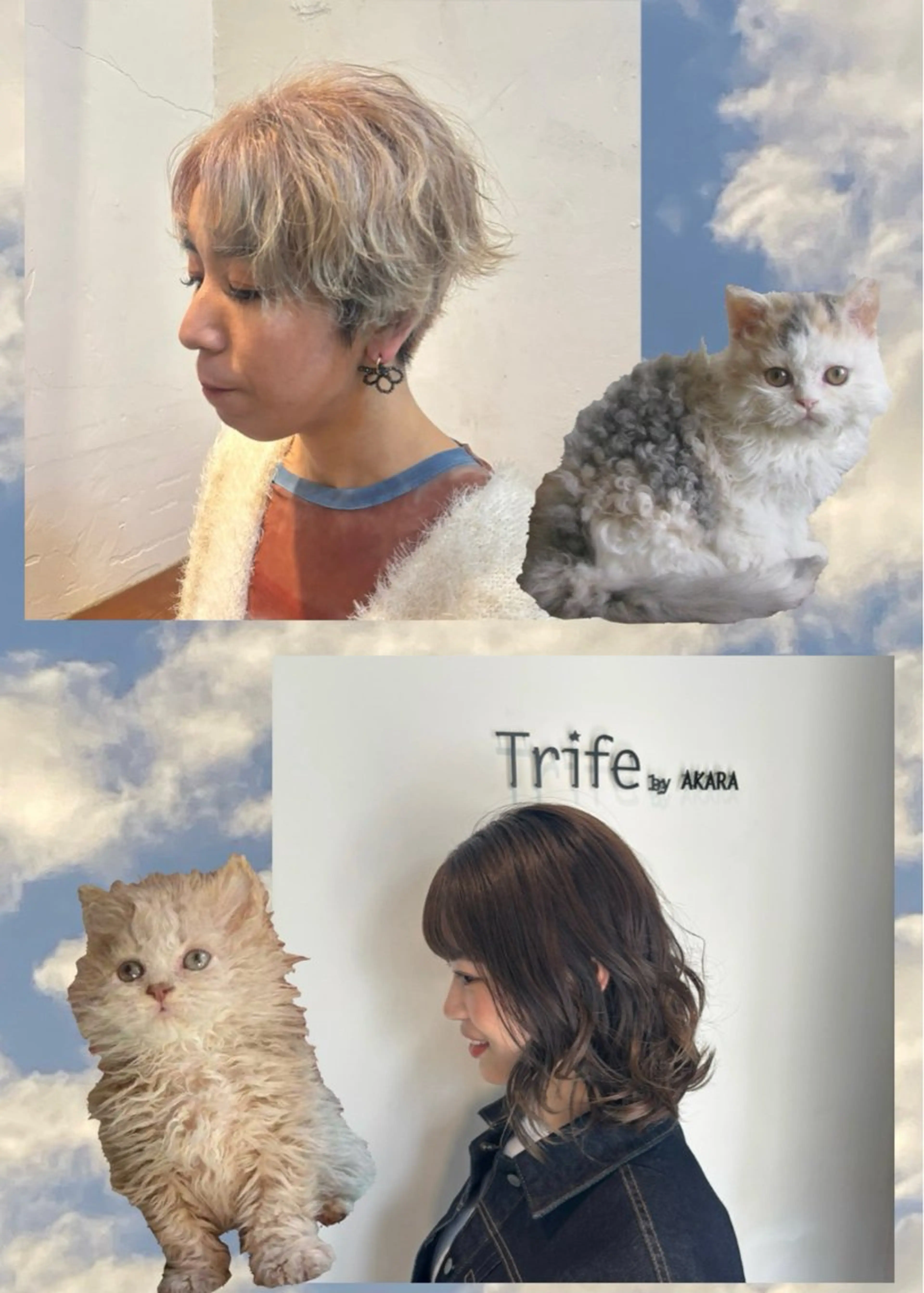 【24歳以下限定】カット➕パーマ🌀の写真