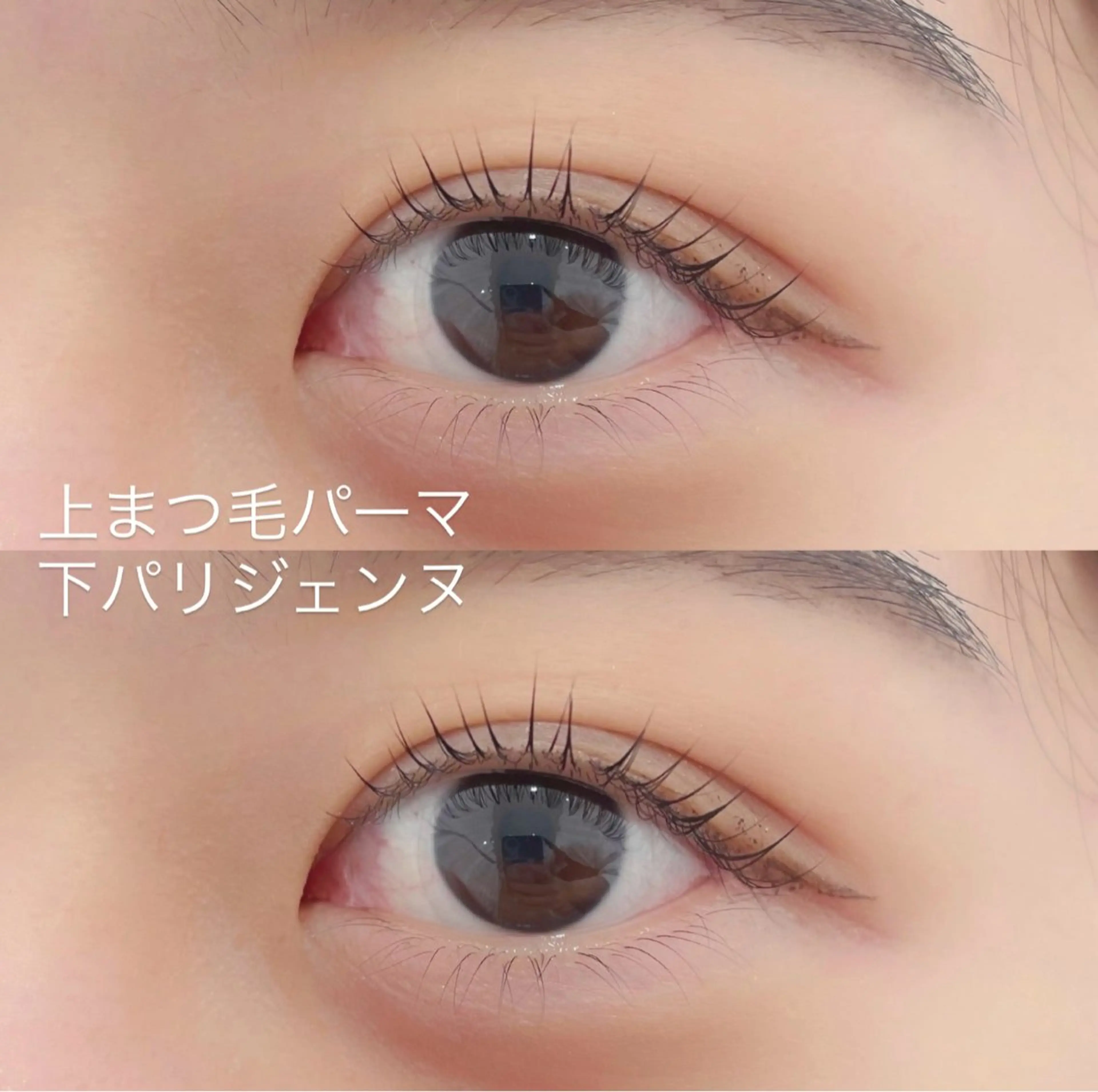 🦋🌙7月ご新規様限定🌙🦋上まつ毛パーマ下パリジェンヌ👀必ず補足説明を読んでからご予約お願いいたしますの写真