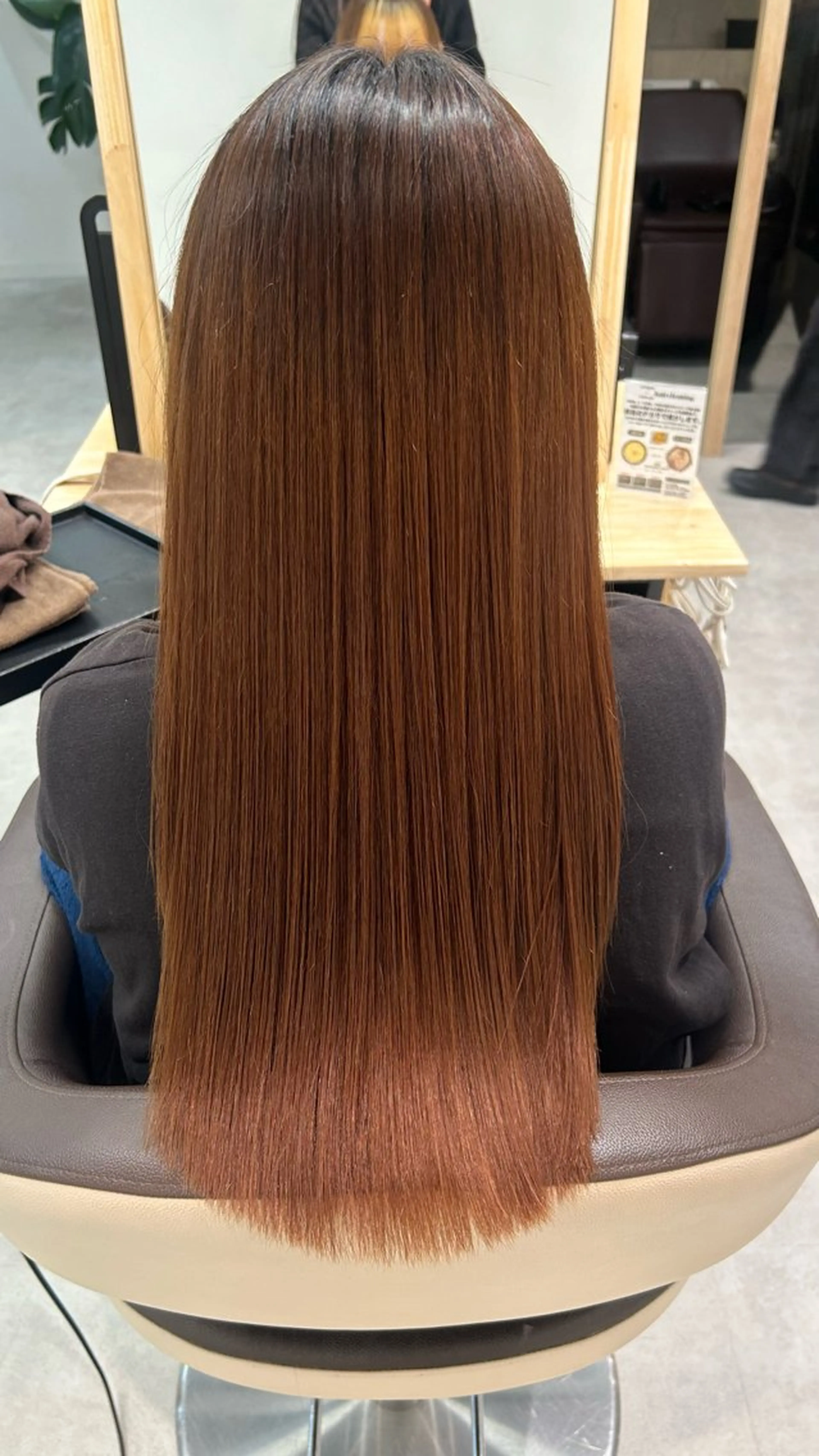 ロング 縮毛矯正/ブリーチ 無しWカラーのヘアスタイル