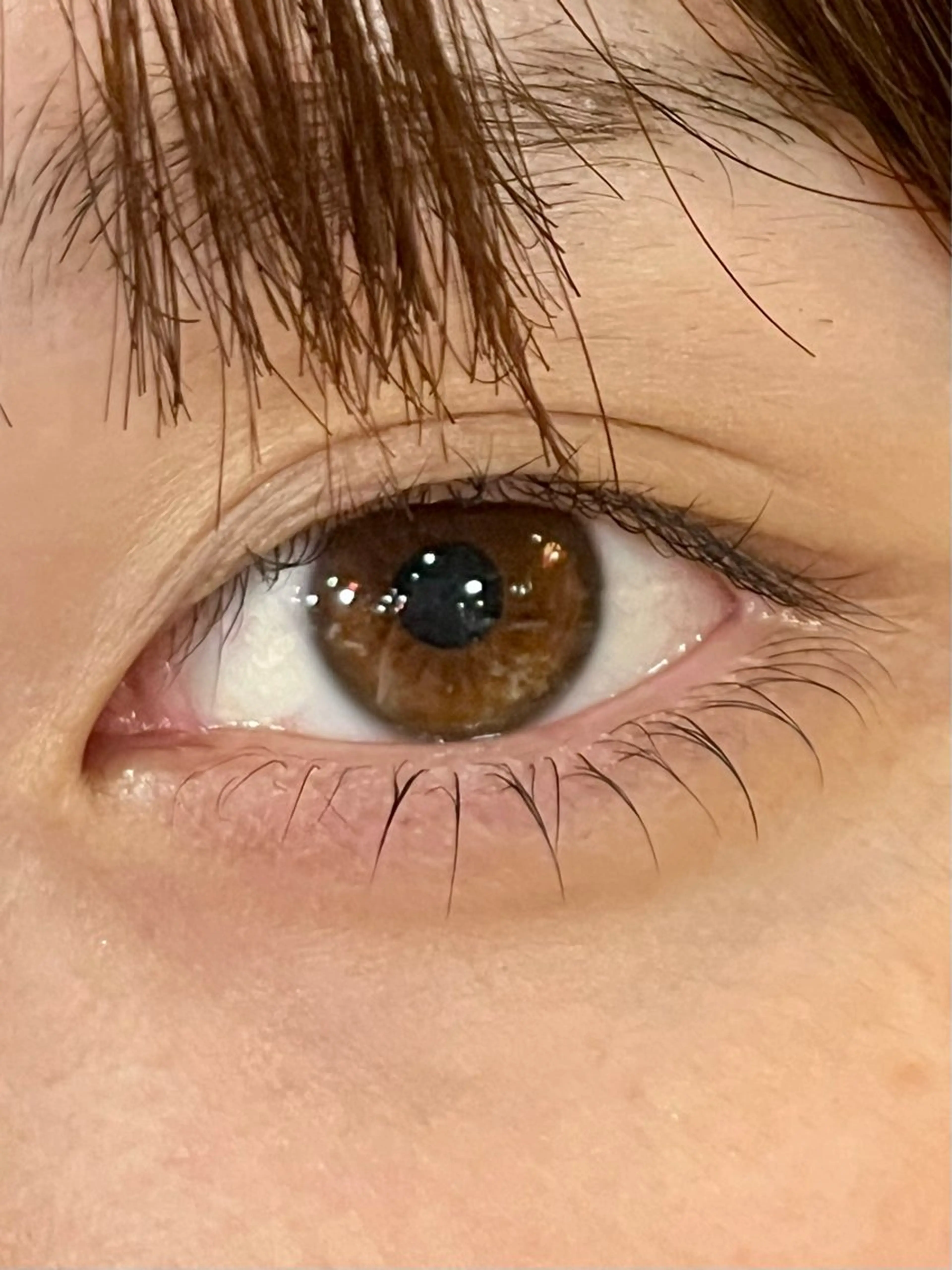 マツエク・マツパ まつげパーマ 下まつげエクステ かじかわまりな 🫧の眉毛・アイブロウイメージ