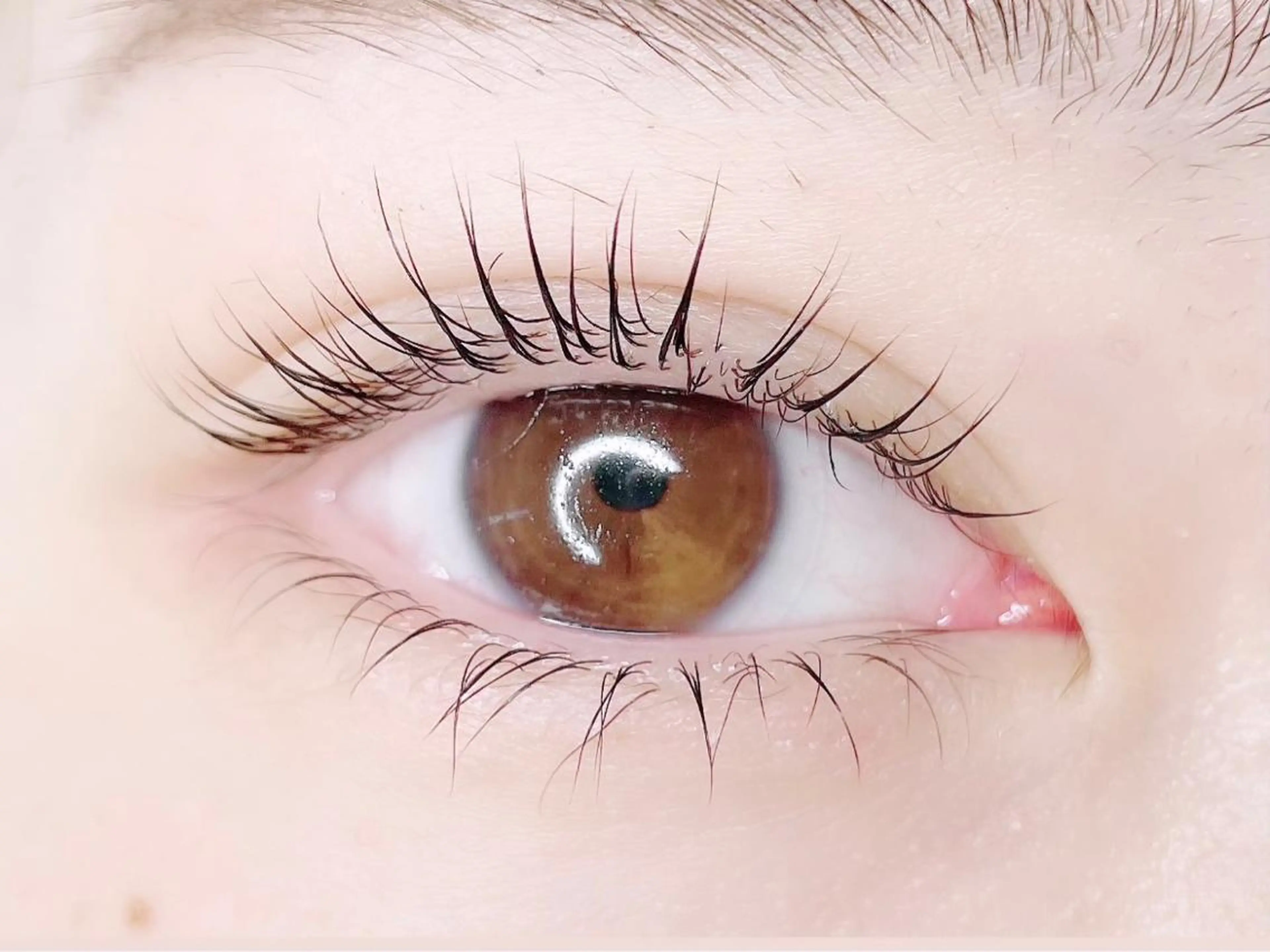 マツエク・マツパ まつげパーマ 下まつげエクステ eyelashsalon Lily Me所属・イイダ リナのマツエク・マツパデザイン