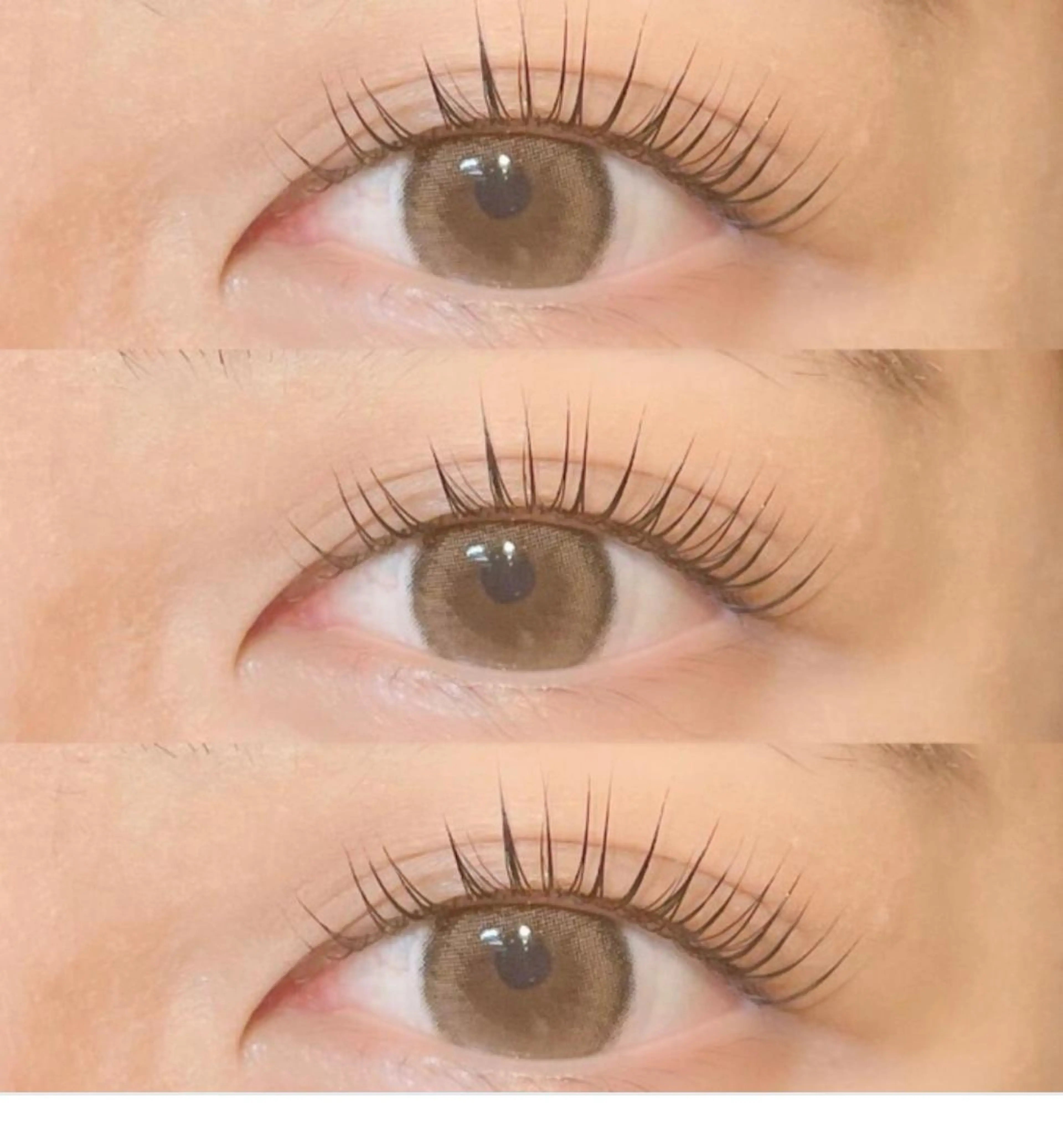 マツエク・マツパ 🌹ブリランテ🌹 大人気店のマツエク・マツパデザイン