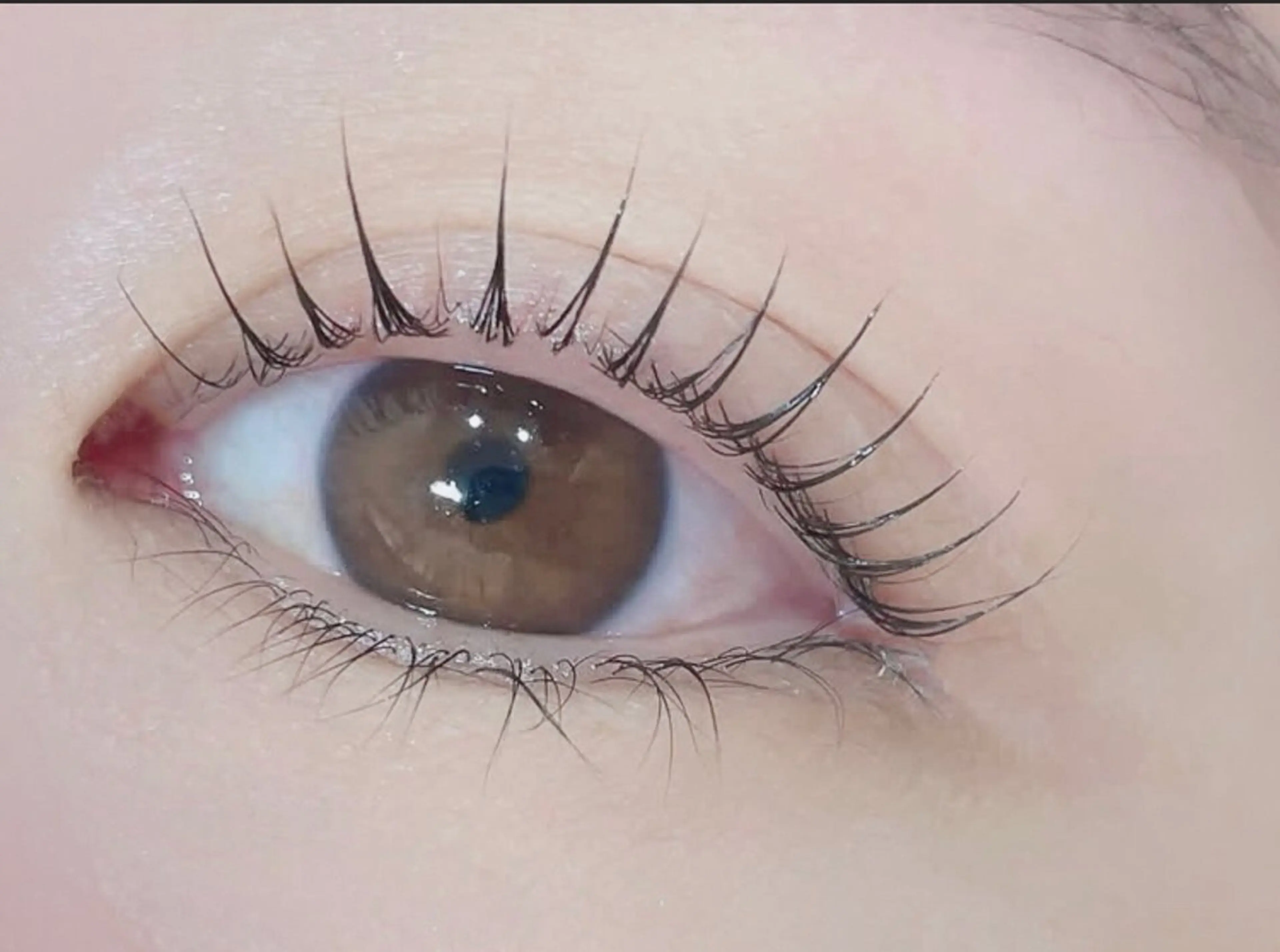 マツエク・マツパ マツパ 🌹ブリランテ🌹 大人気店のマツエク・マツパデザイン