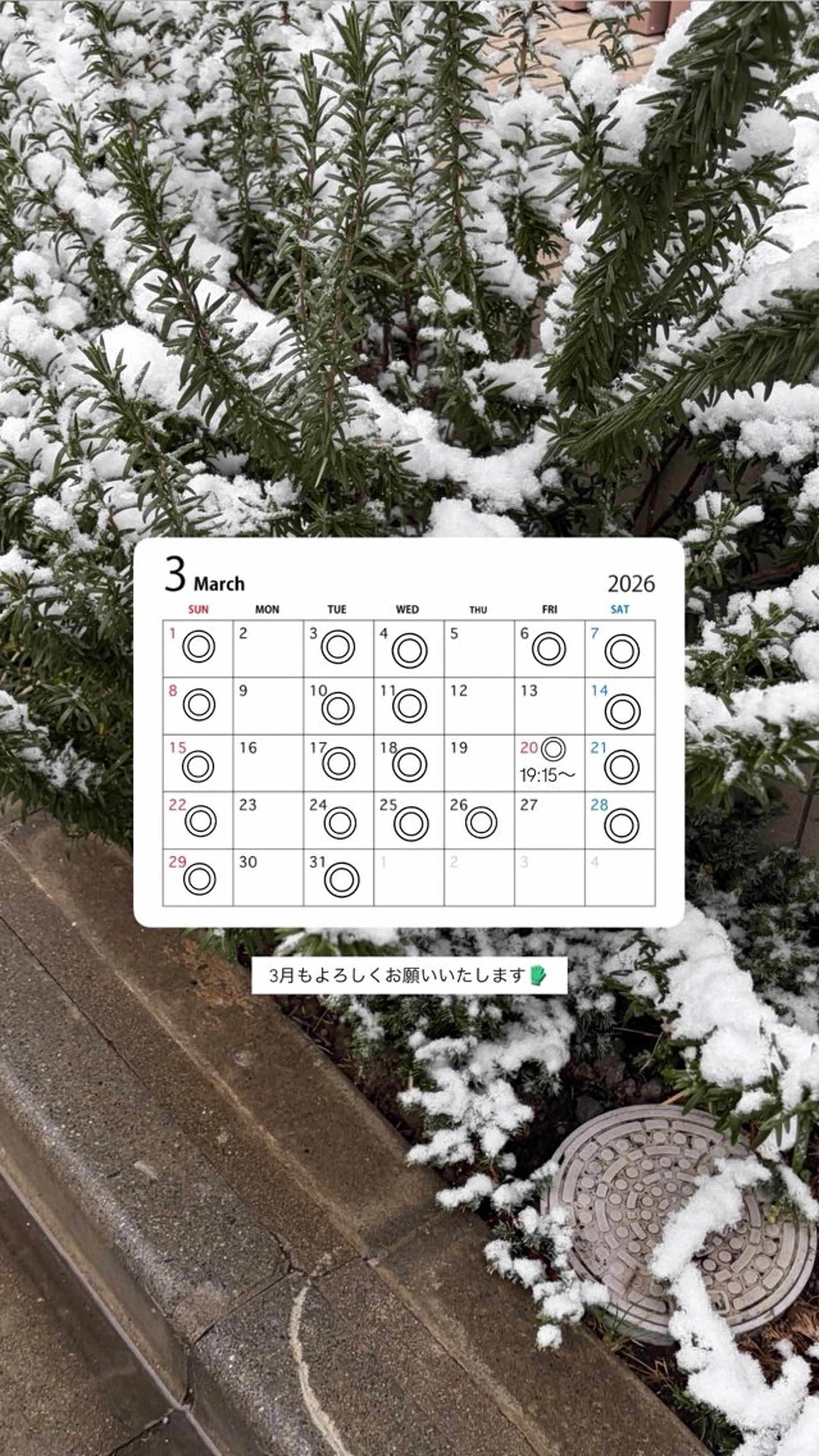 meirin <model募集中>のヘアスタイル