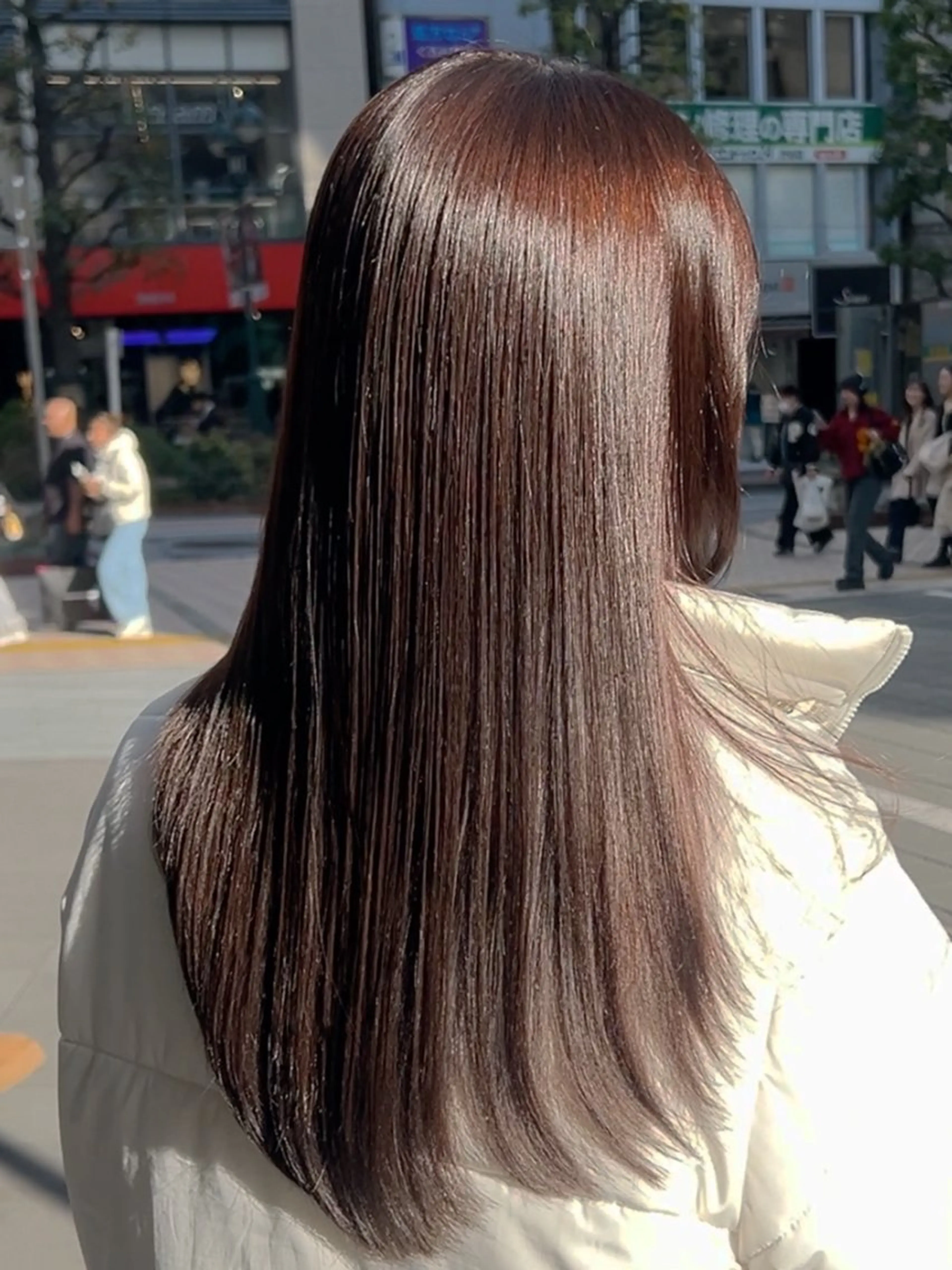 🫧ミニモ限定🫧カット+5step Aujua【プレゼント付き🎁】¥11550→¥7700の写真