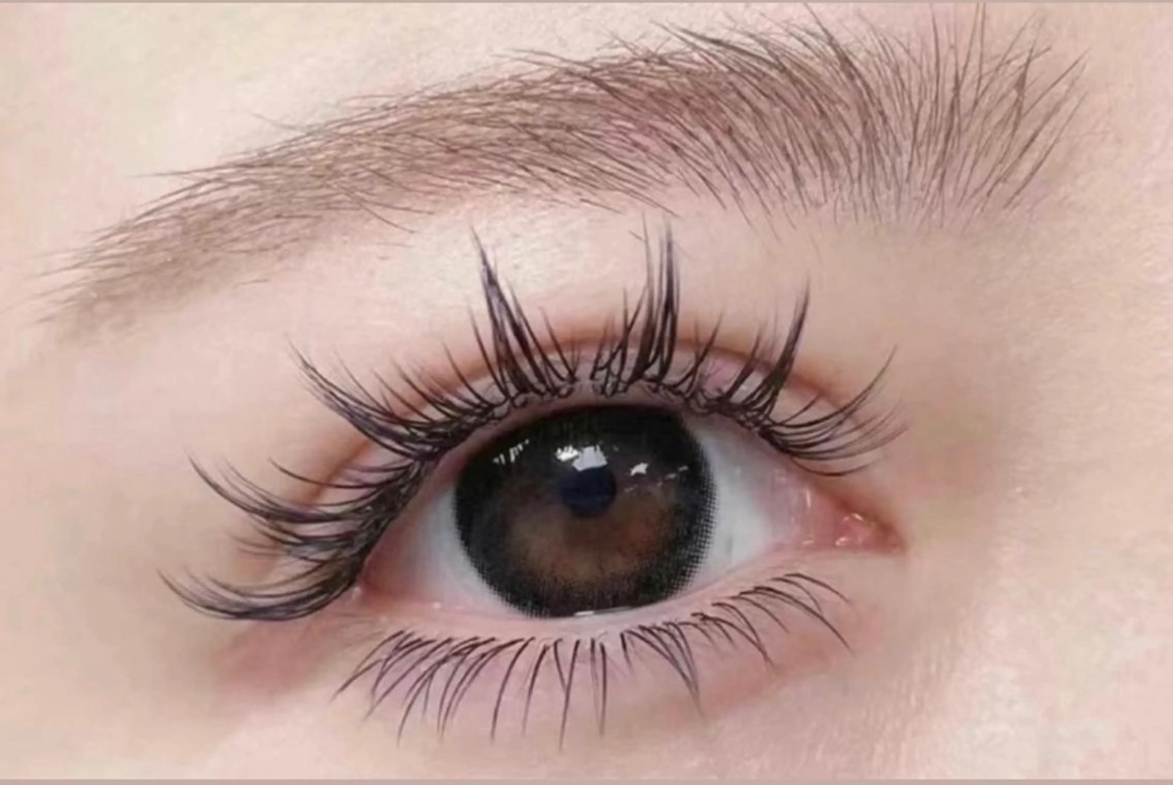 マツエク・マツパ ワンホンマツエク アンジュネス 池袋のマツエク・マツパデザイン