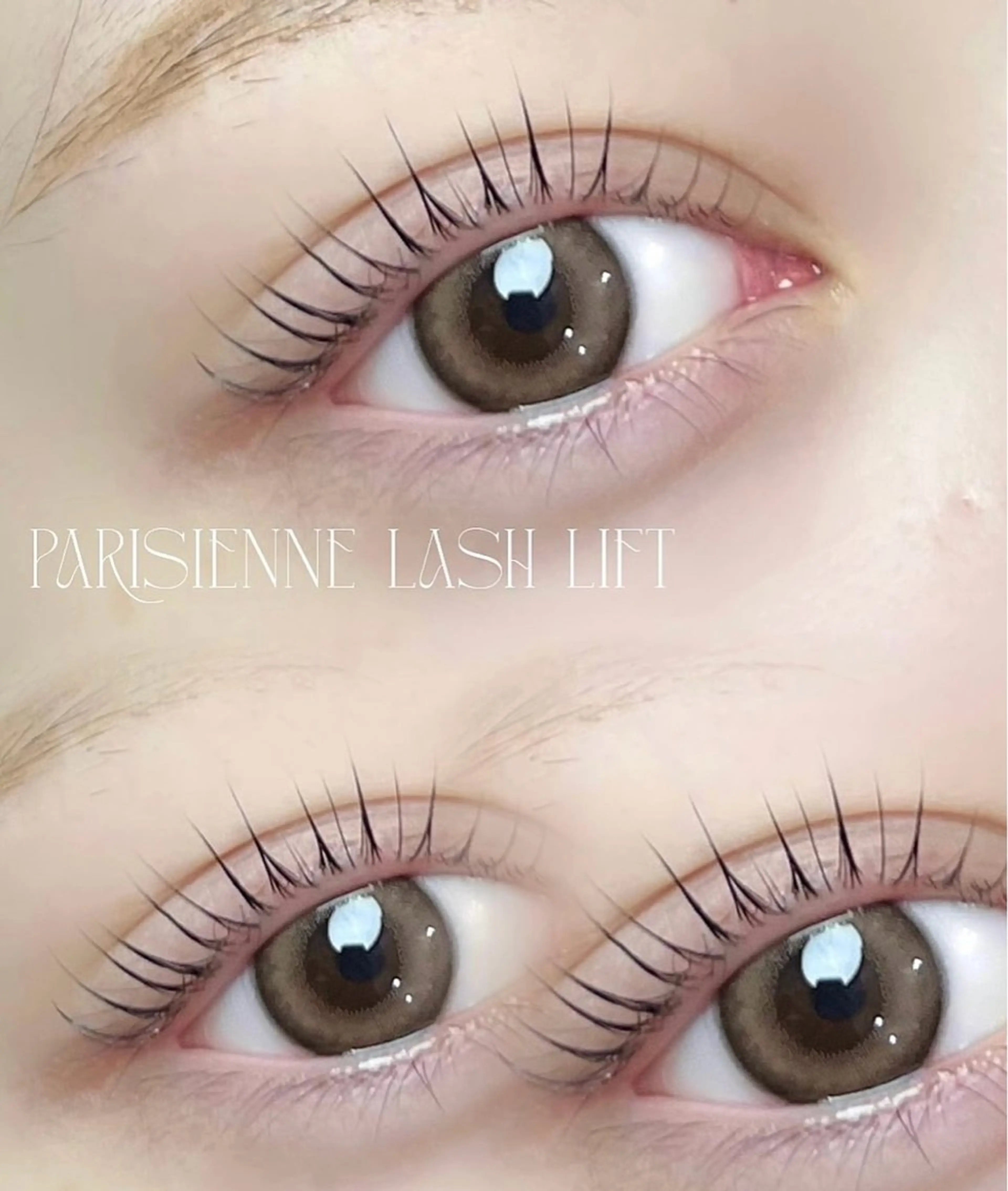 💄パリジェンヌラッシュリフト💄の写真