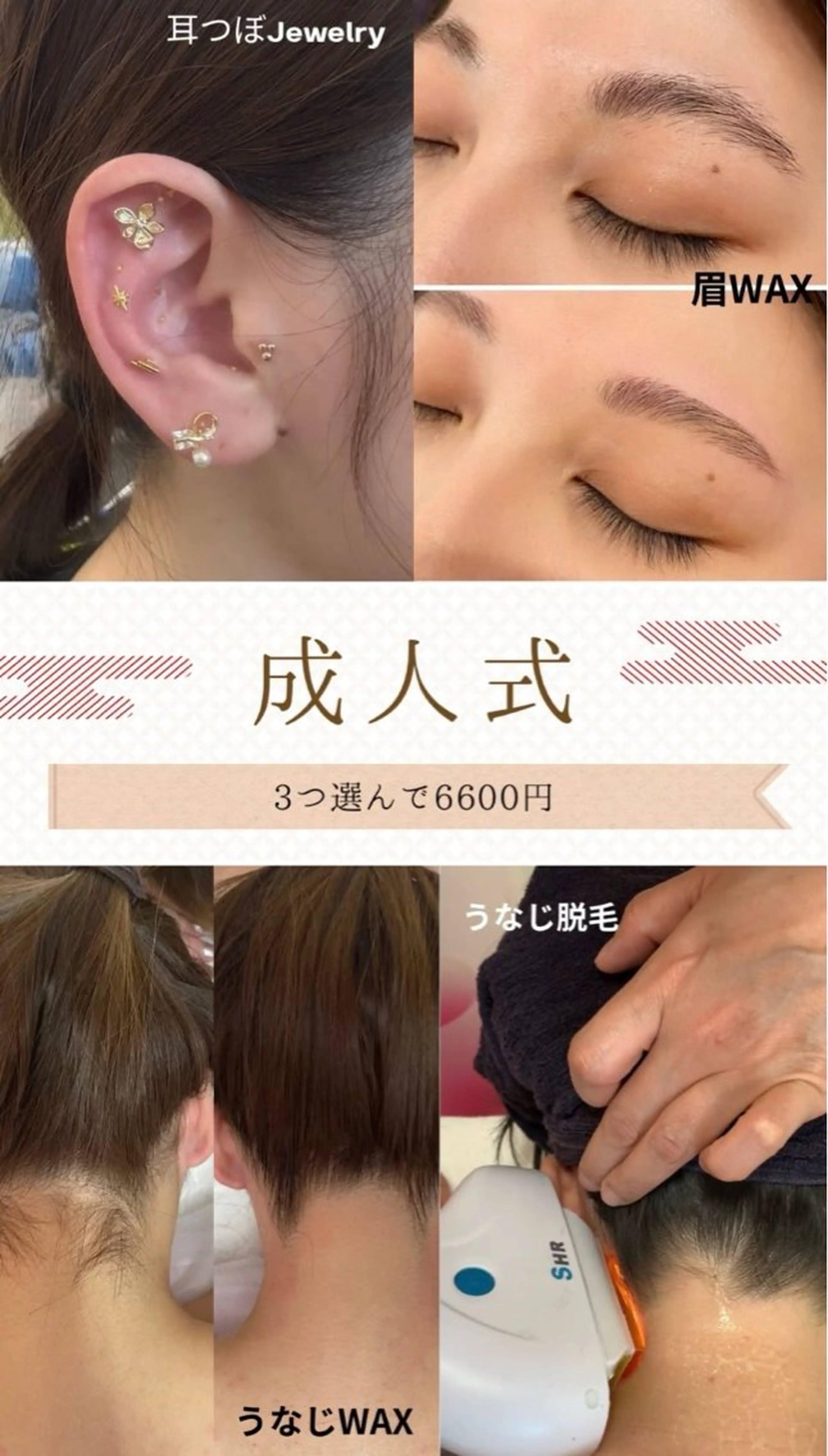 お祝い成人クーポンの写真