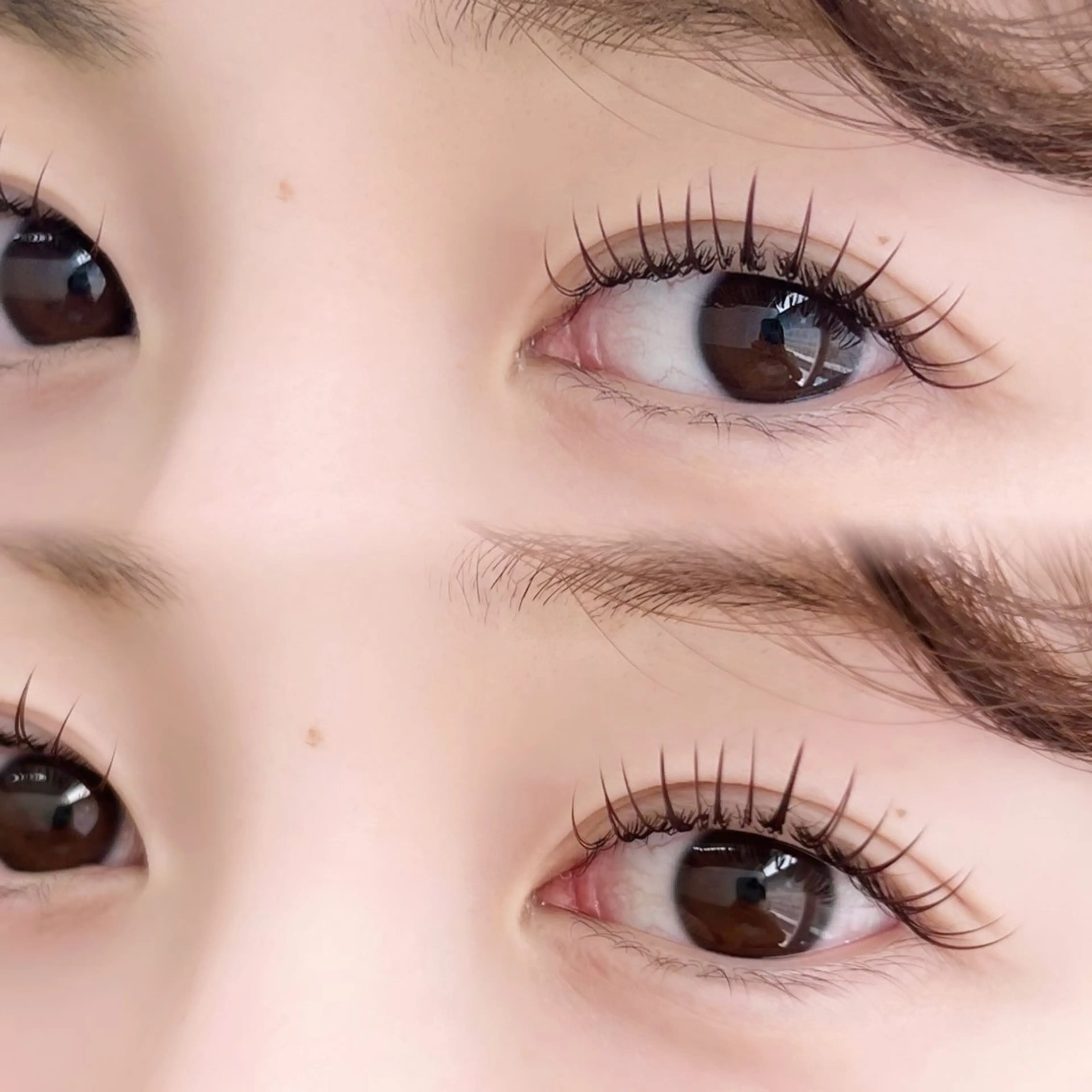 ✨初回オフ無料✨まつげパーマ×マツエク🌷フラットラッシュ黒100本～120本🌷束感仕上げの写真