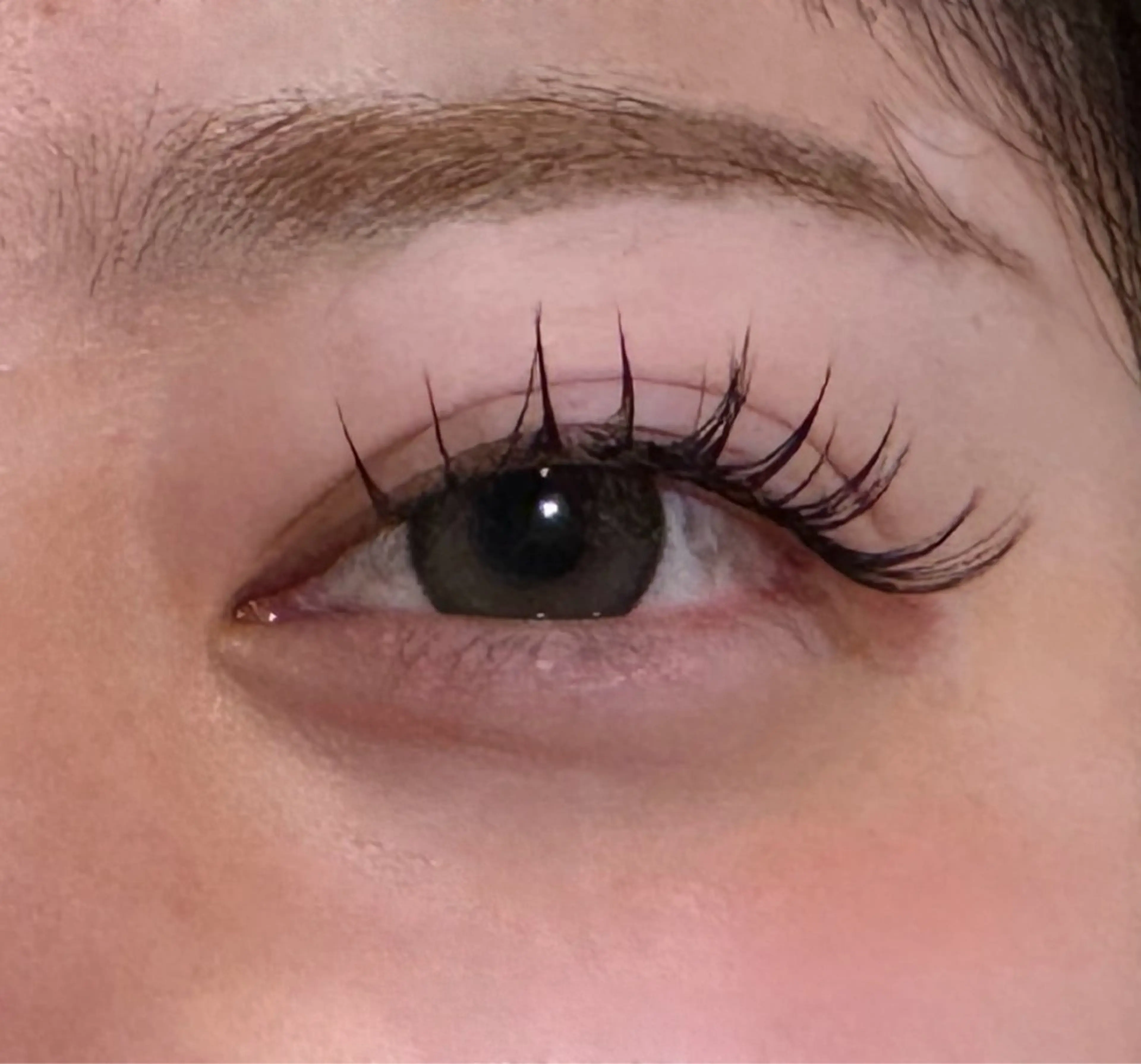 マツエク・マツパ マツエク 福川優月 /レイヤー /透明感カラーのヘアスタイル