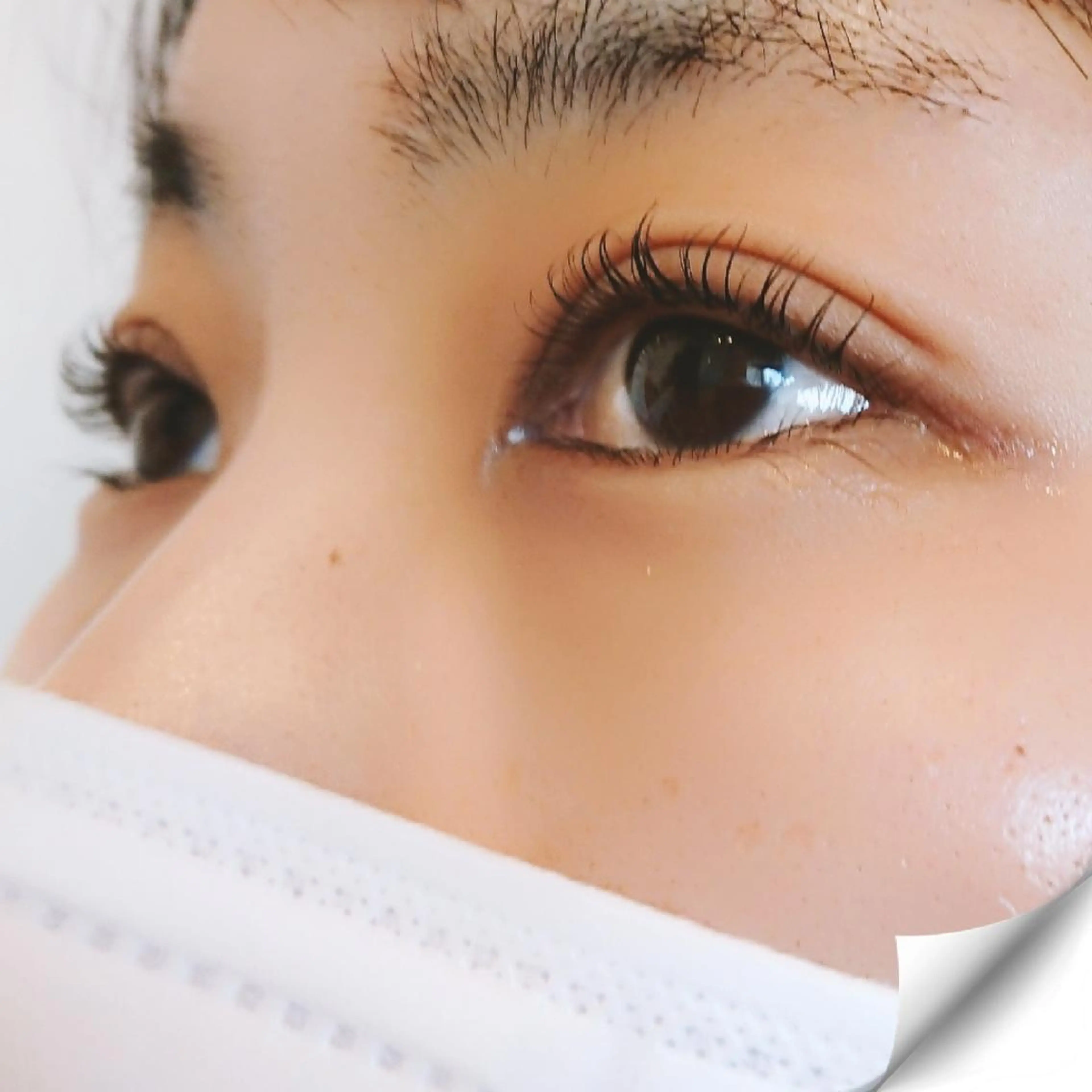 マツエク・マツパ   kaoruのマツエク・マツパデザイン