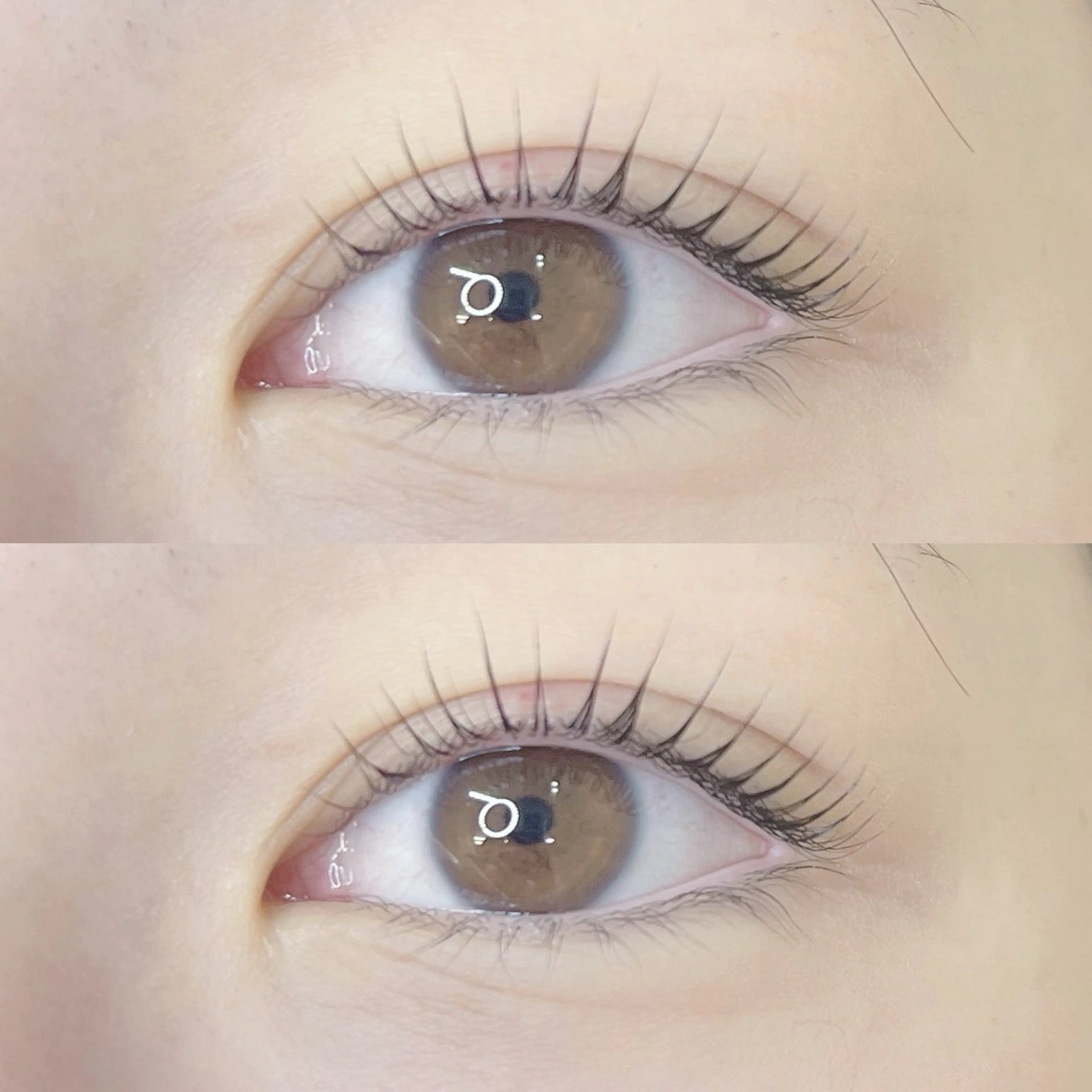 マツエク・マツパ MAQUIA 三島駅前店 石川のマツエク・マツパデザイン