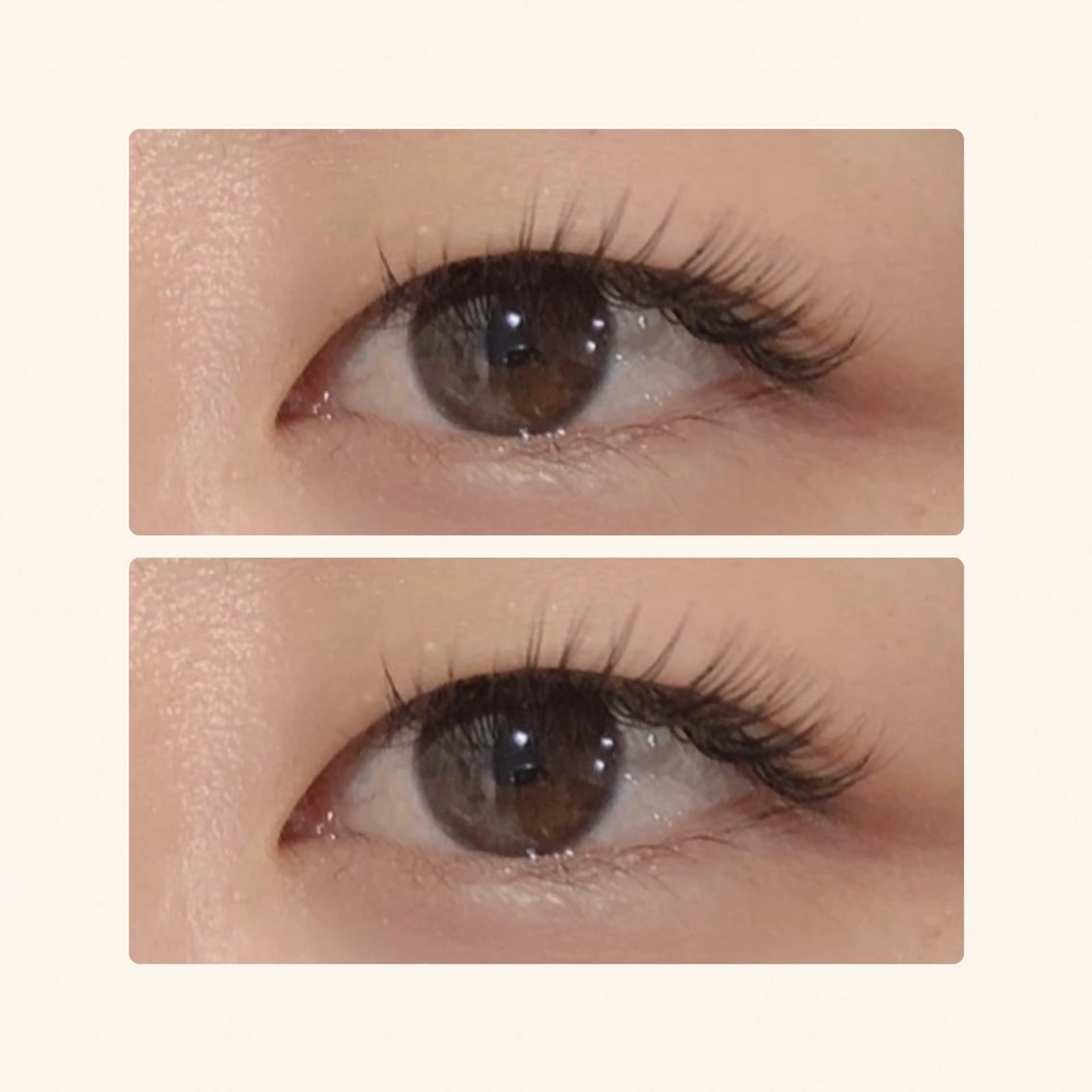 フラットラッシュ120本の写真