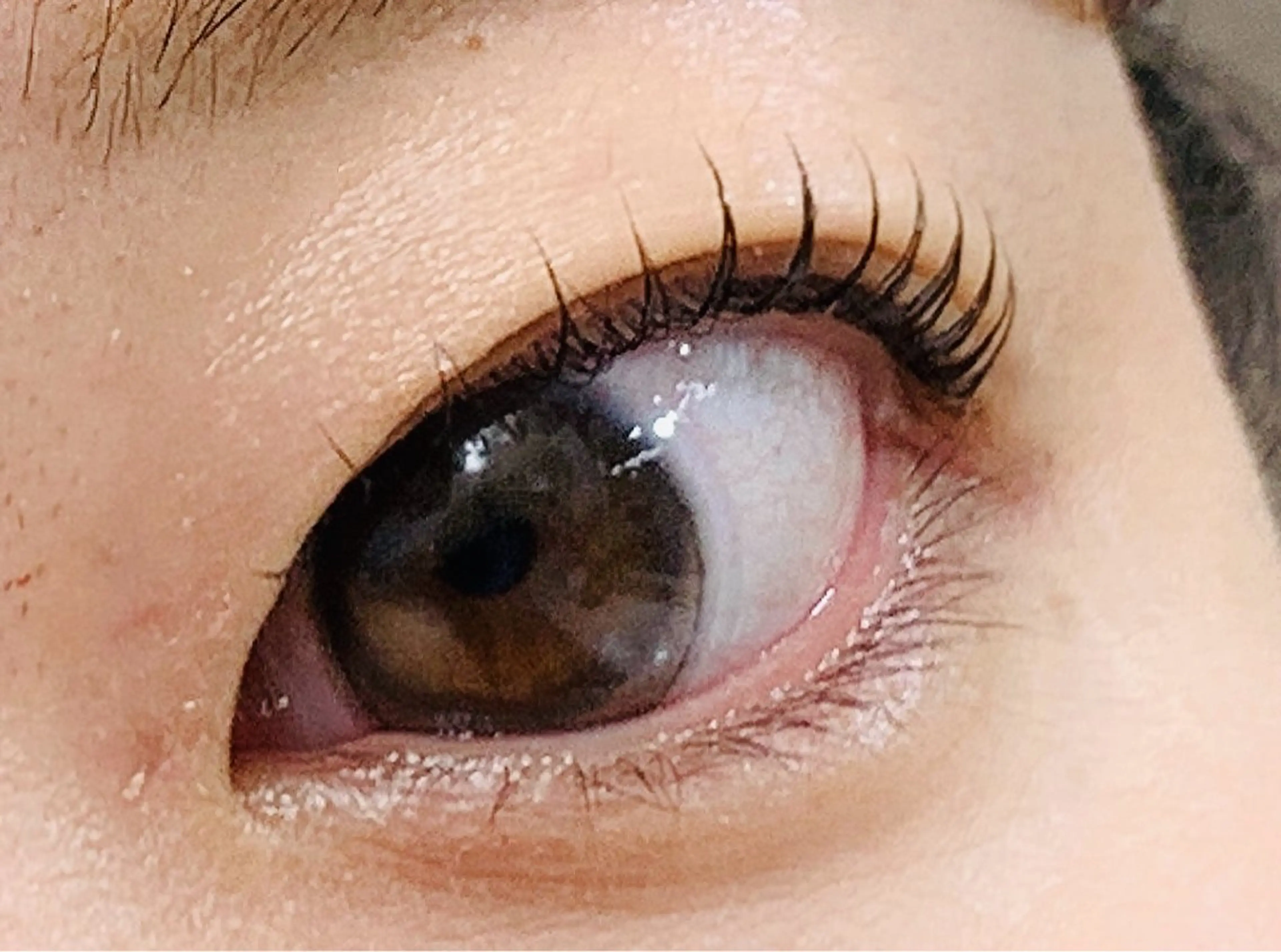 マツエク・マツパ ペペEye Beauty新宿のマツエク・マツパデザイン