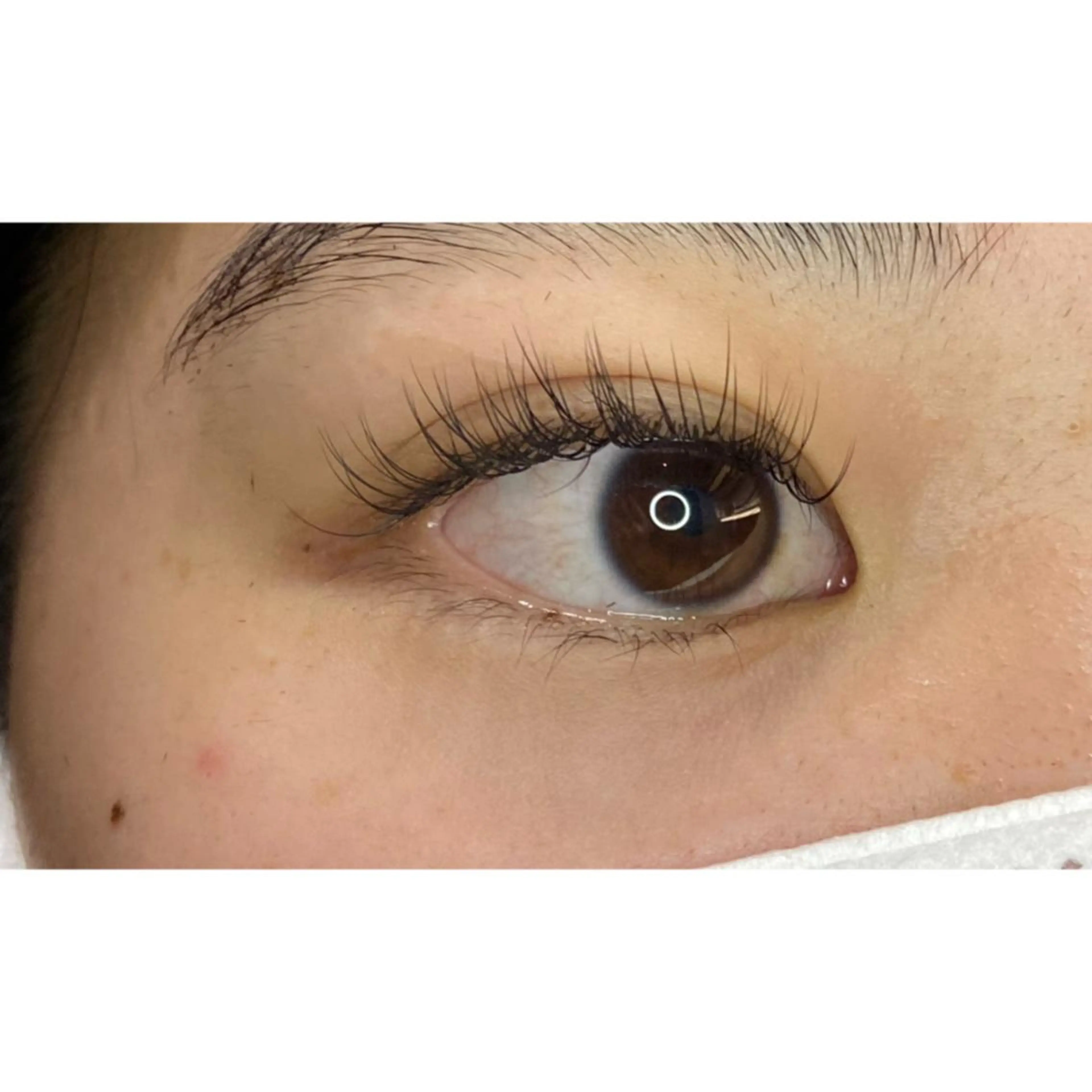 💛初回限定💛💎高級セーブルシングルエクステ💎100本👀初回オフ込み🤍の写真