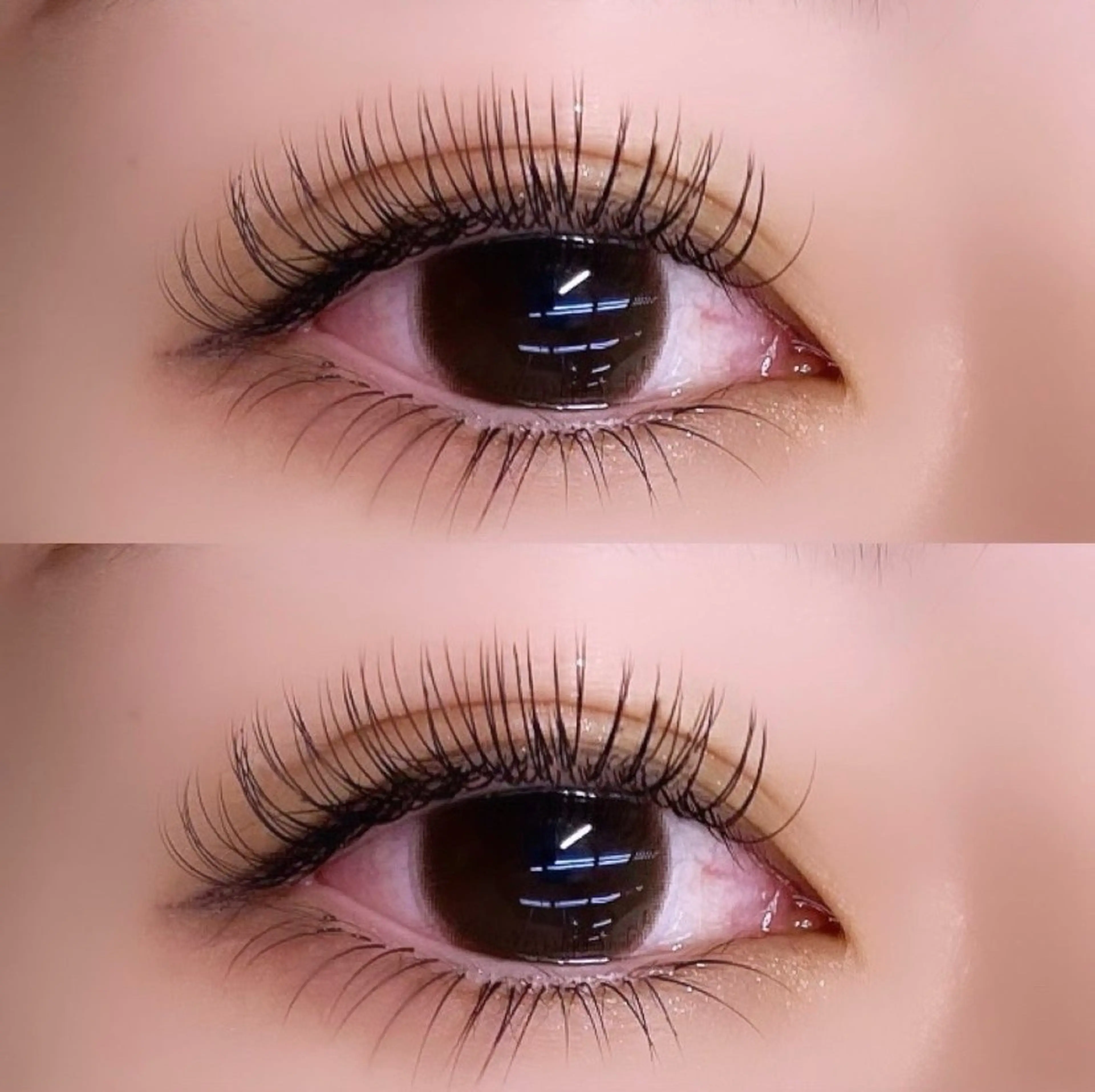 フラットラッシュ100本🪽✨(オフ込み)の写真