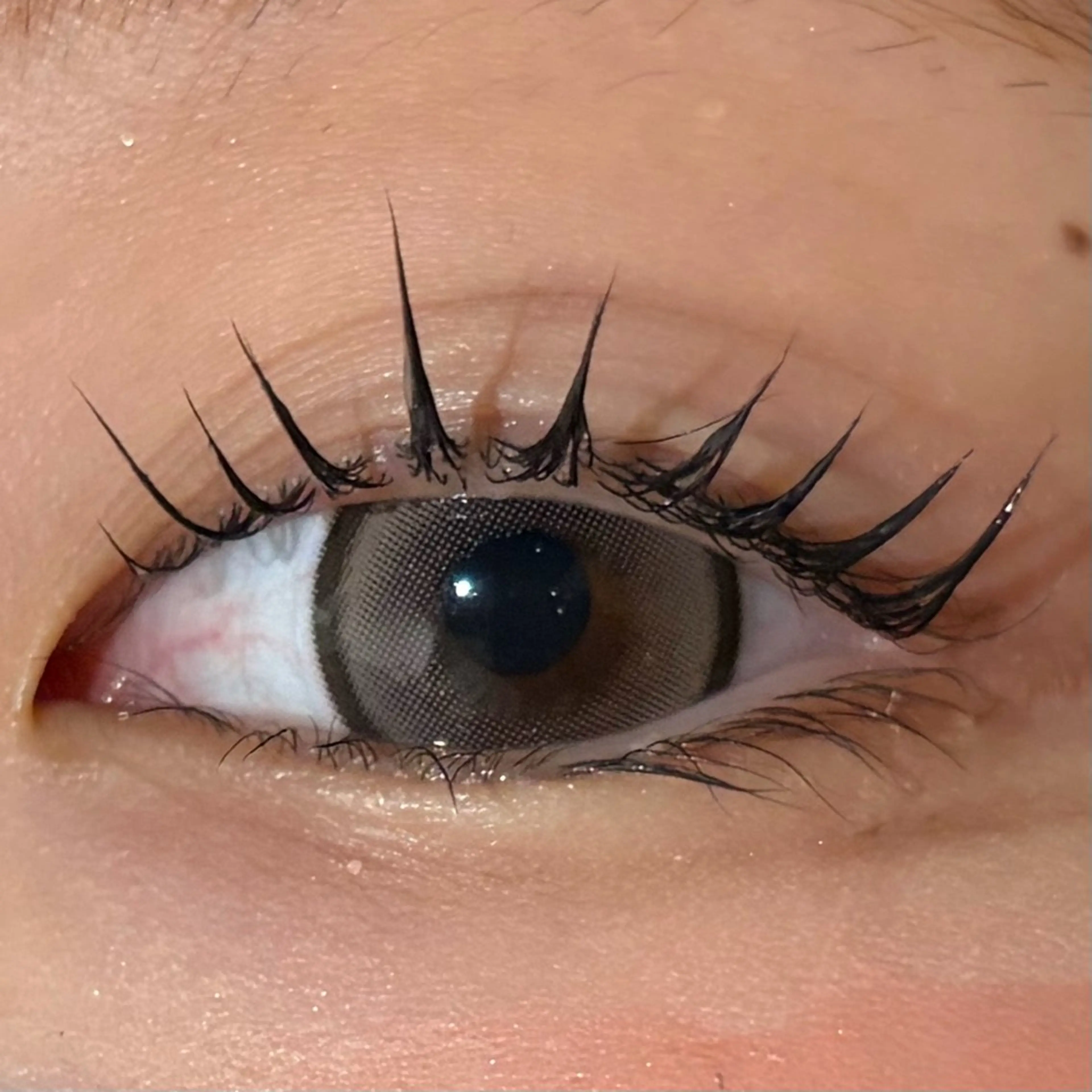 マツエク・マツパ マツパ ななみ.⋆𝜗𝜚 艶カラー/まつパのヘアスタイル