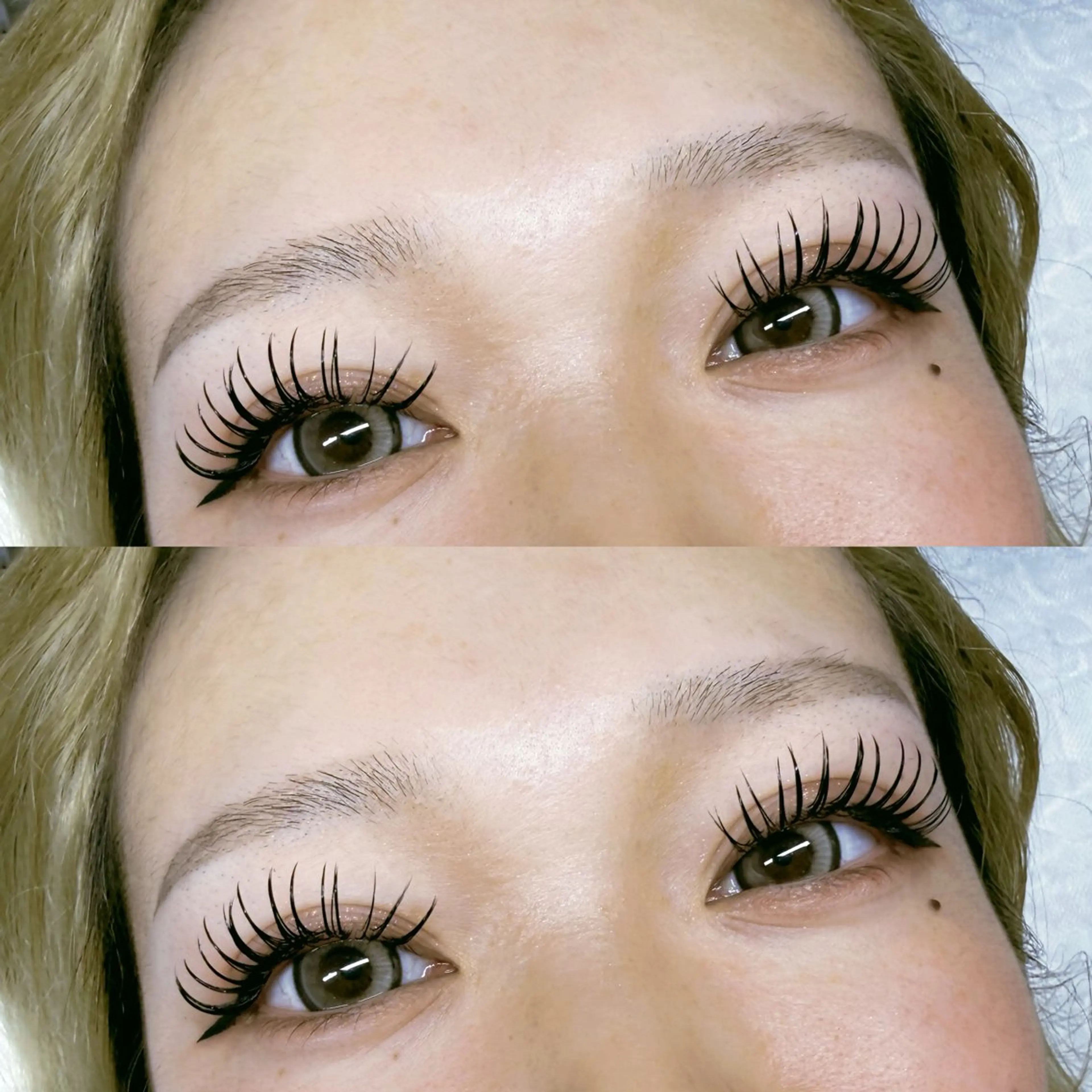 【 ダブルフラットラッシュ🤍付け放題 】の写真