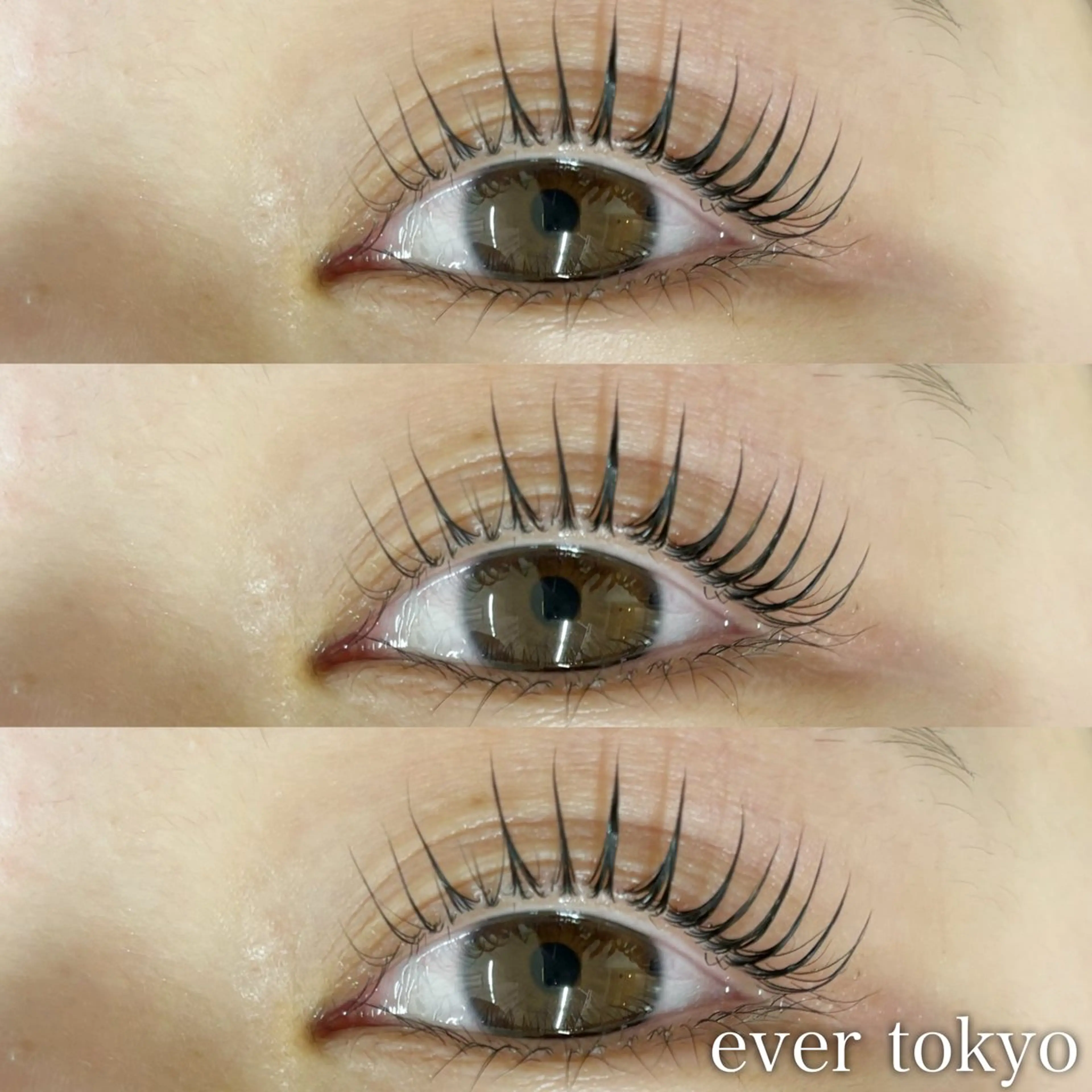 minimo価格【ご新規様限定】🫧パリジェンヌラッシュリフト🫧束感コーティング付の写真