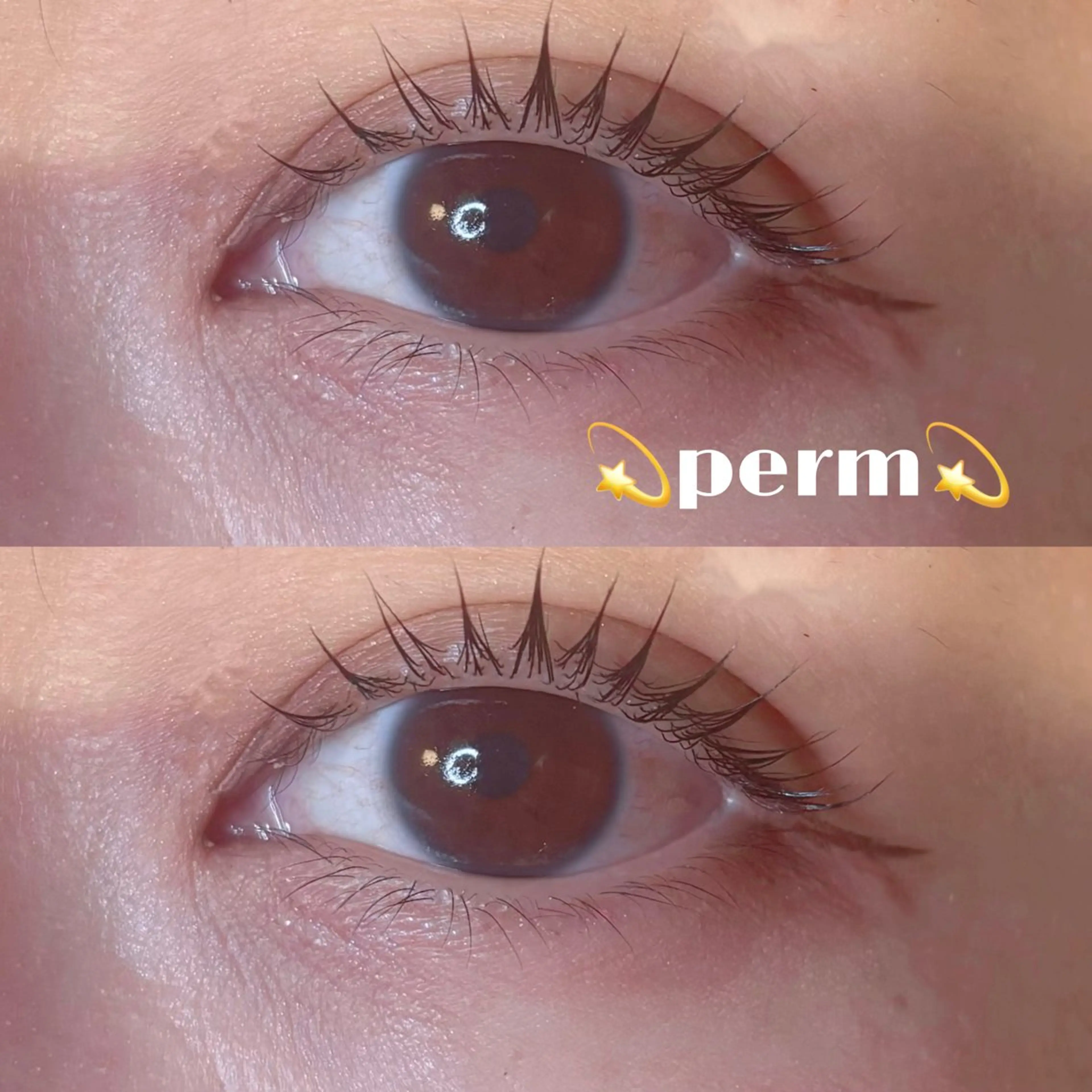 マツエク・マツパ 🌷m.wish仲野 未紗🌷の眉毛・アイブロウイメージ