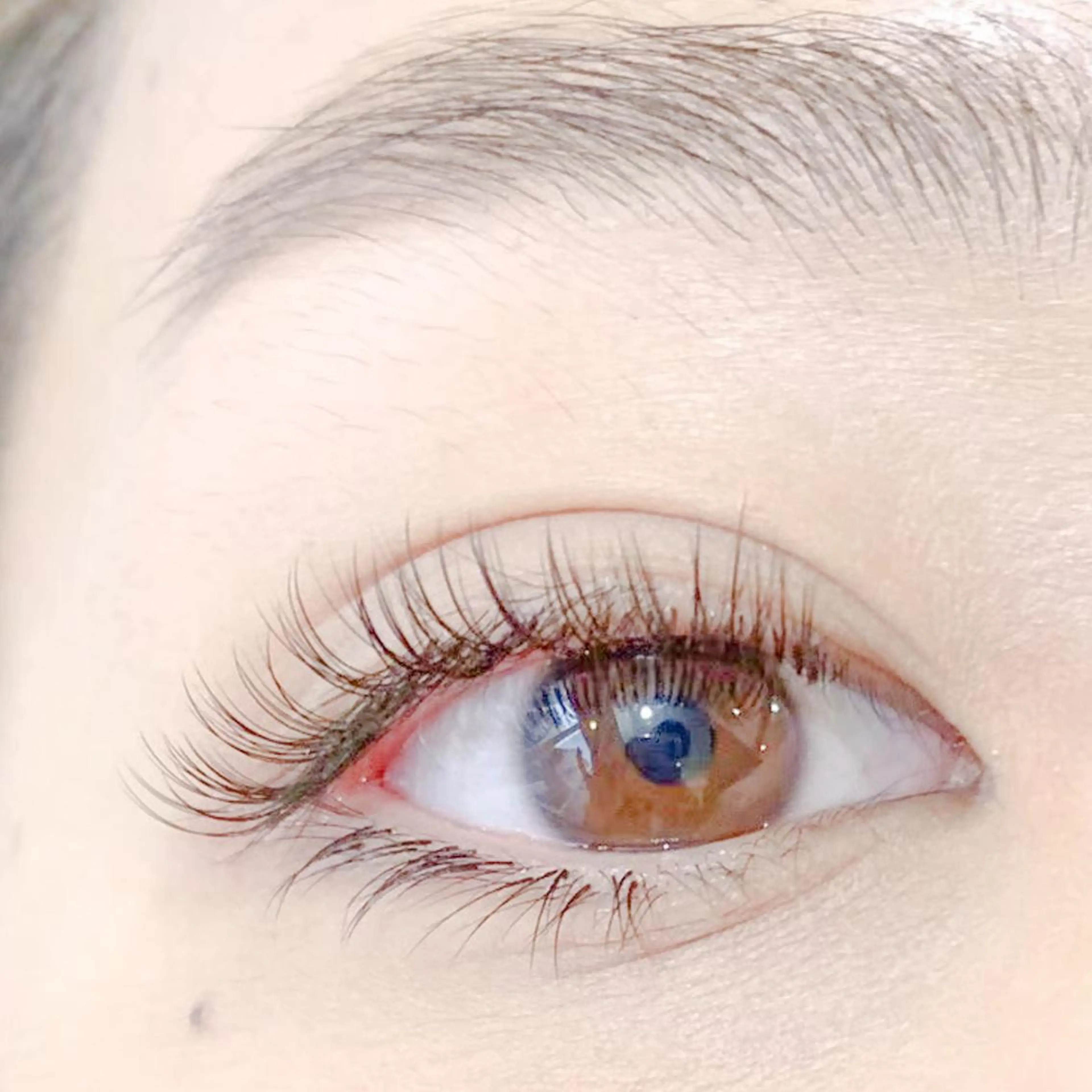 ~ナチュラル派~高持続❣️バインドロック80束(240本)☆ブラウン系カラー有の写真