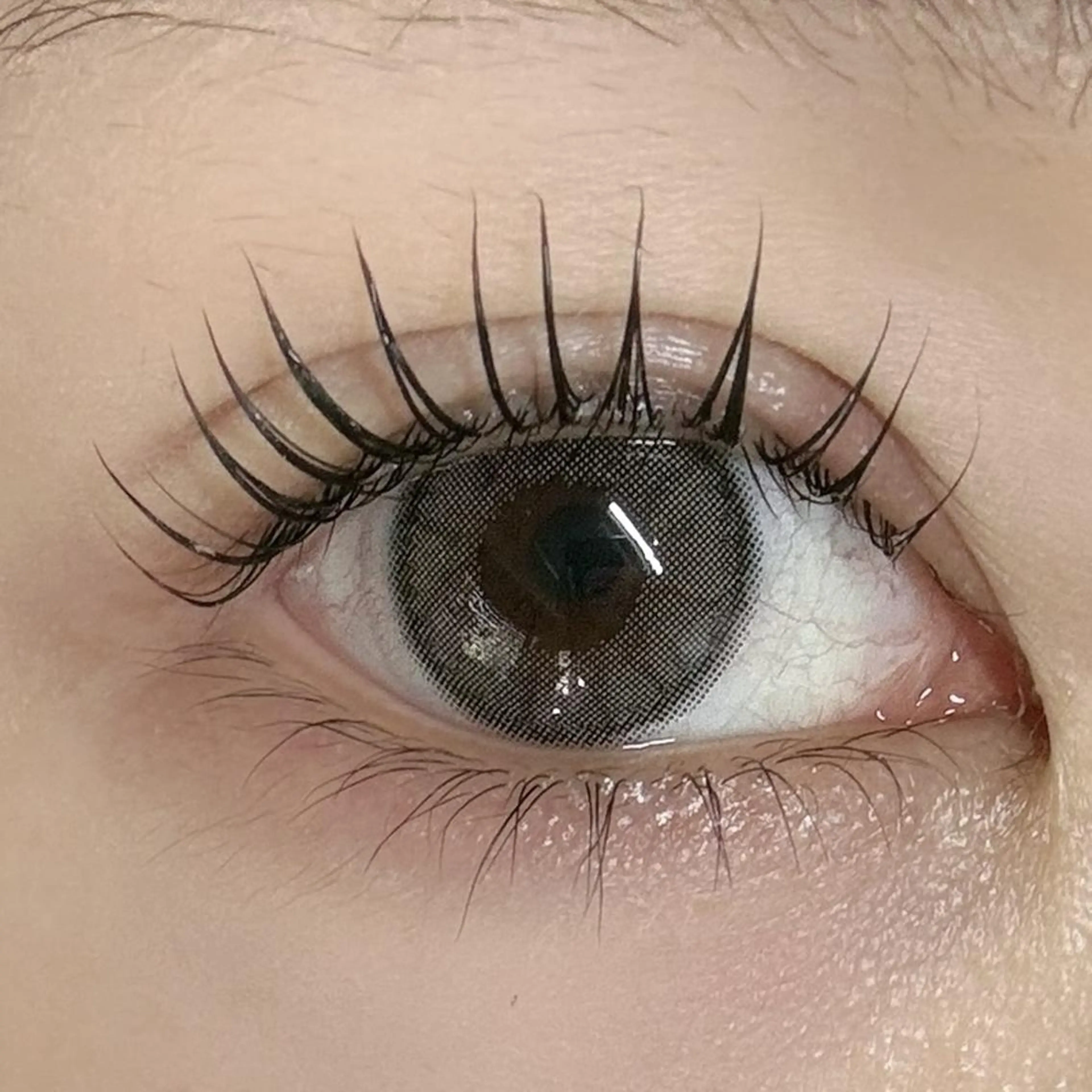 【魅せるなら】🤍パリジェンヌラッシュリフト︎🤍の写真