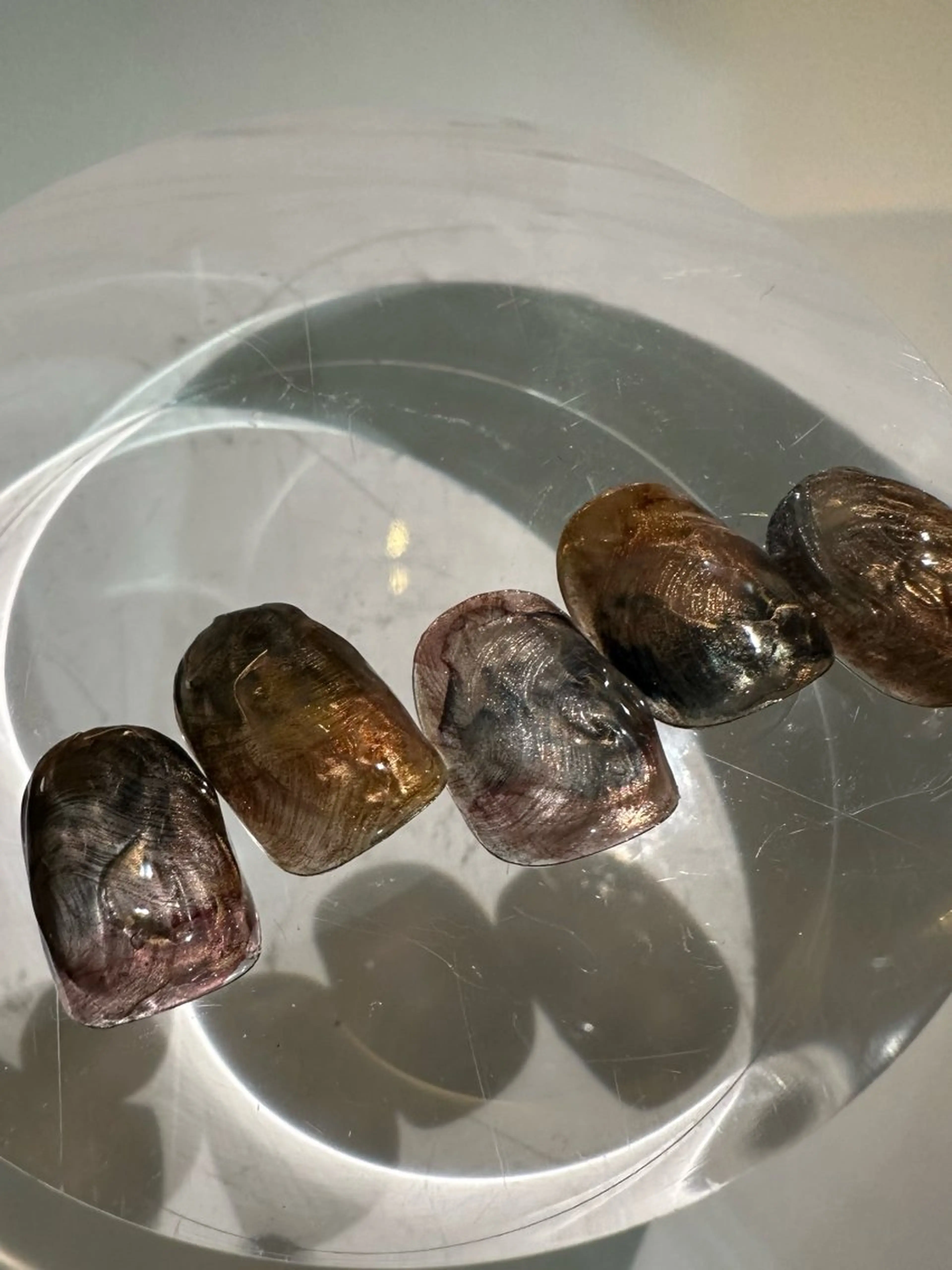 ネイル filonnail / Shioriのネイルデザイン