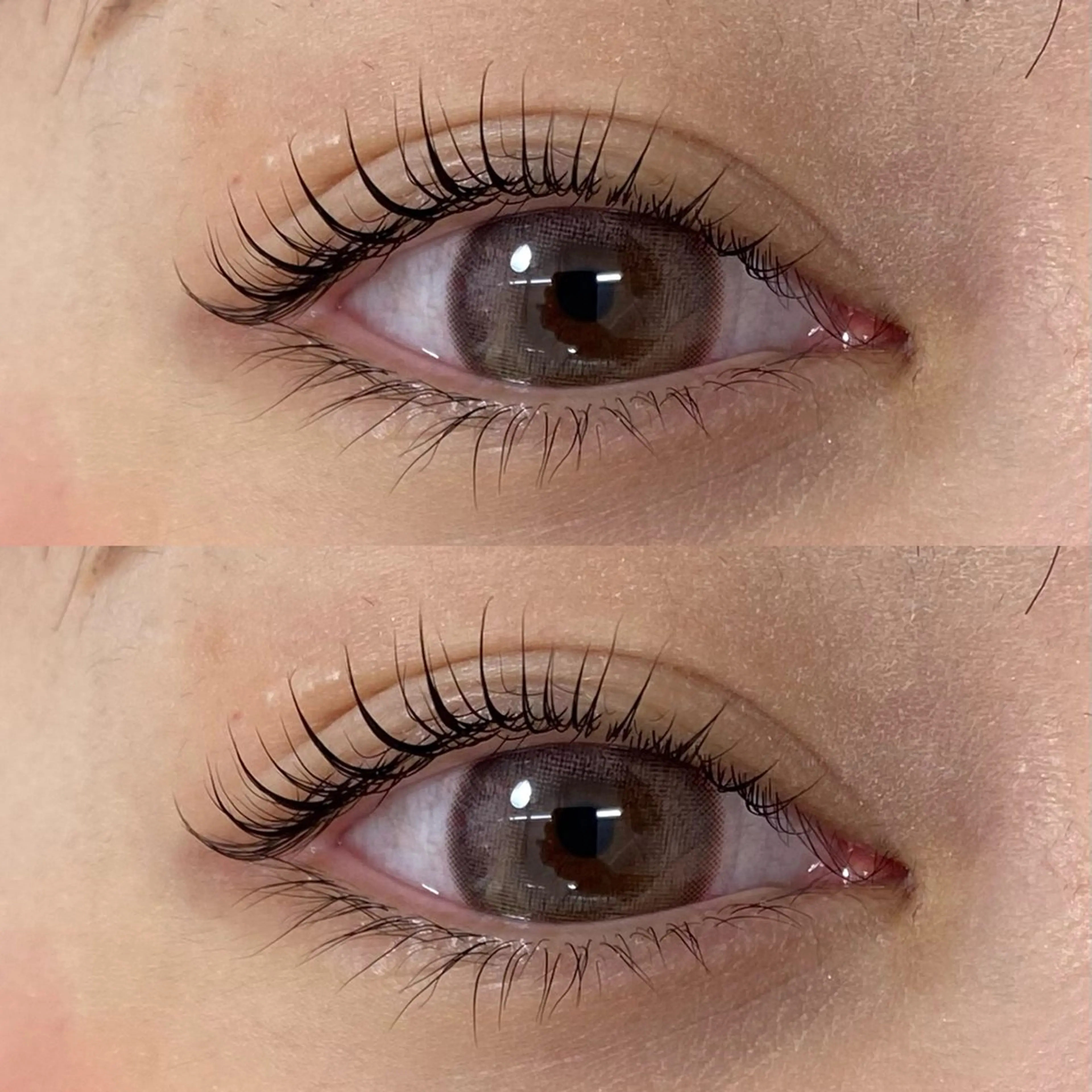 パリジェンヌラッシュリフト⭐️以下の注意事項お読みください！の写真