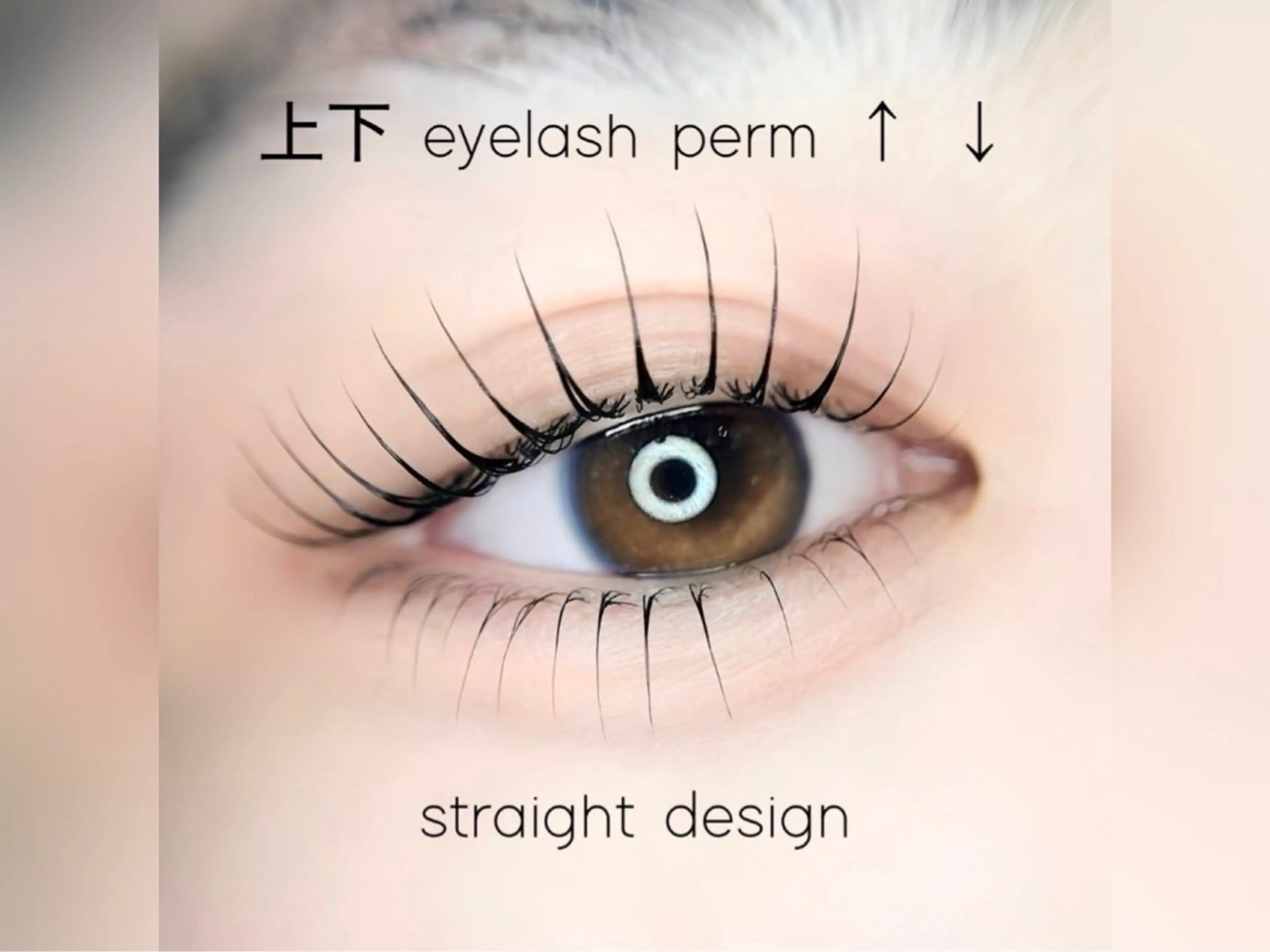 【U24限定🌱】上下似合わせまつげパーマ（ケア付）￥8000→¥6000の写真