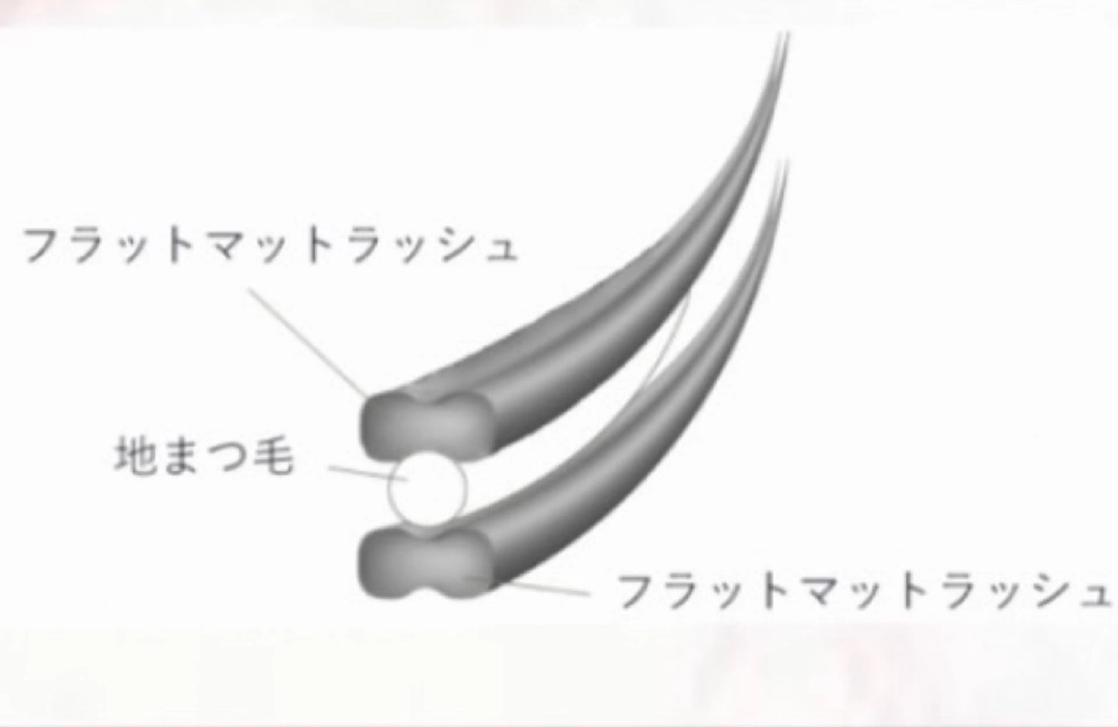 マツエク・マツパ マツエク B&Gビューティーサロン所属・B&G ビューティーサロンのマツエク・マツパデザイン