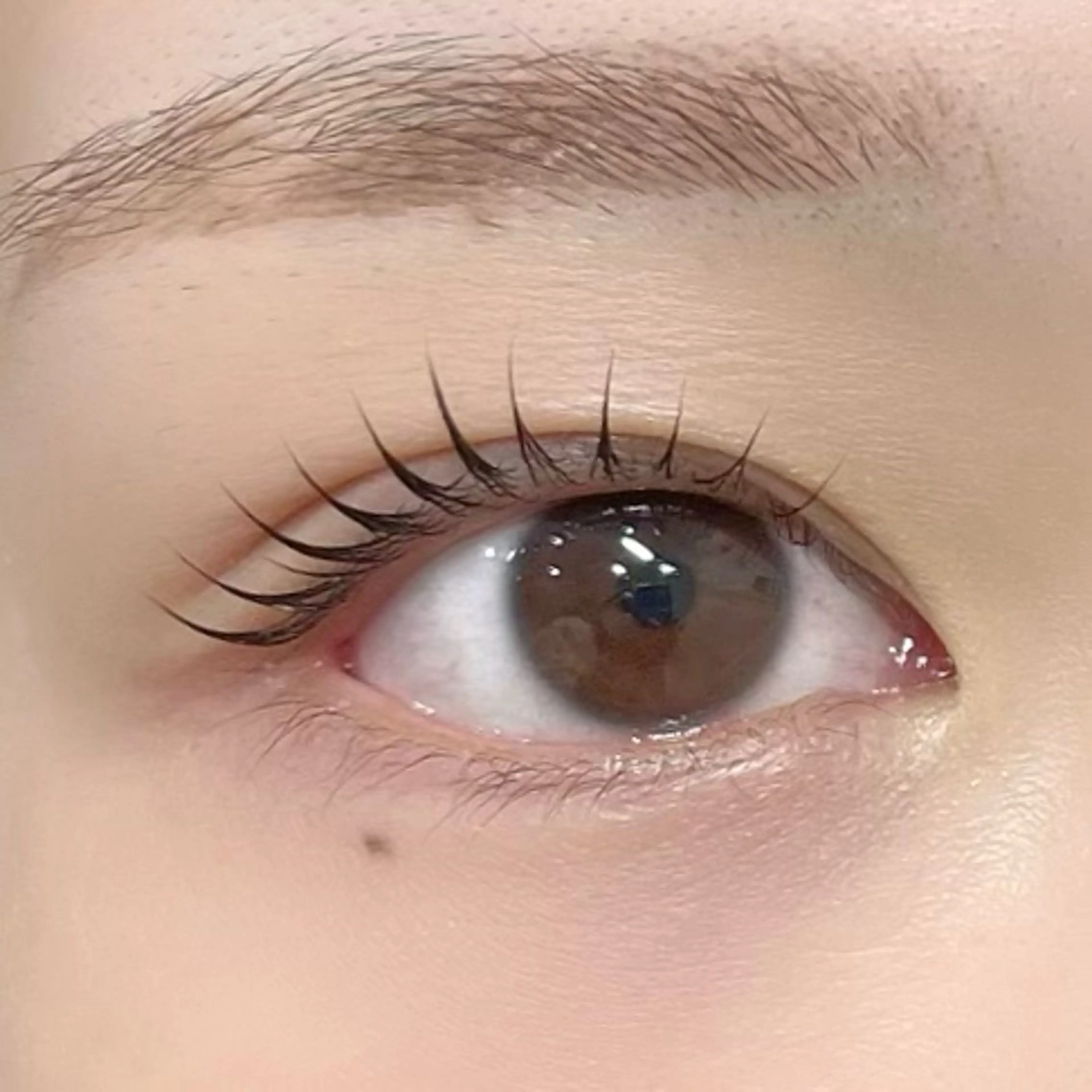 マツエク・マツパ マツパ 🪸似合わせ/お悩み 解決🪸しもだのマツエク・マツパデザイン