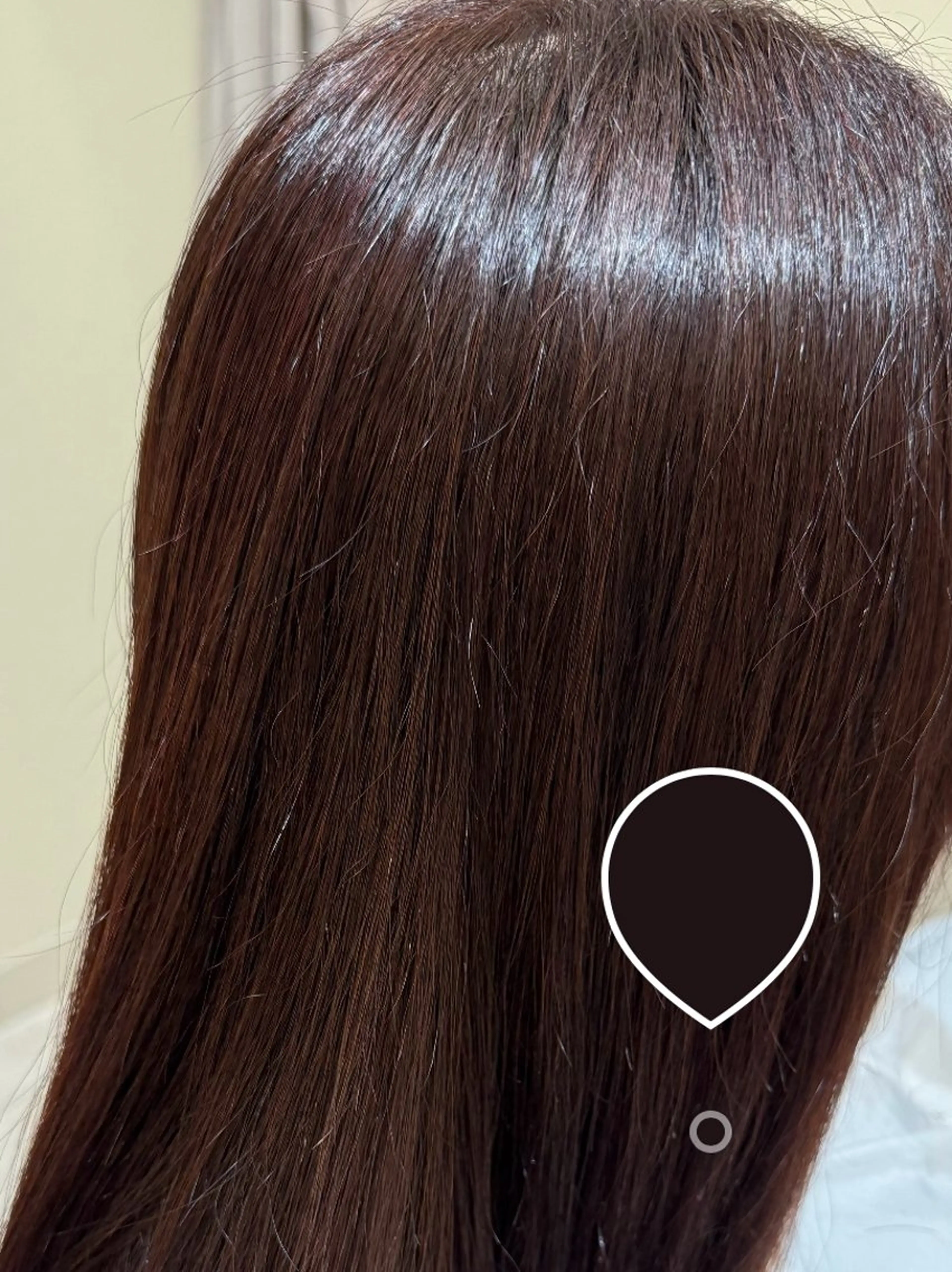 ロング カラー ブラウンカラー カシス カット ヘアカラー 谷脇 杏のヘアスタイル