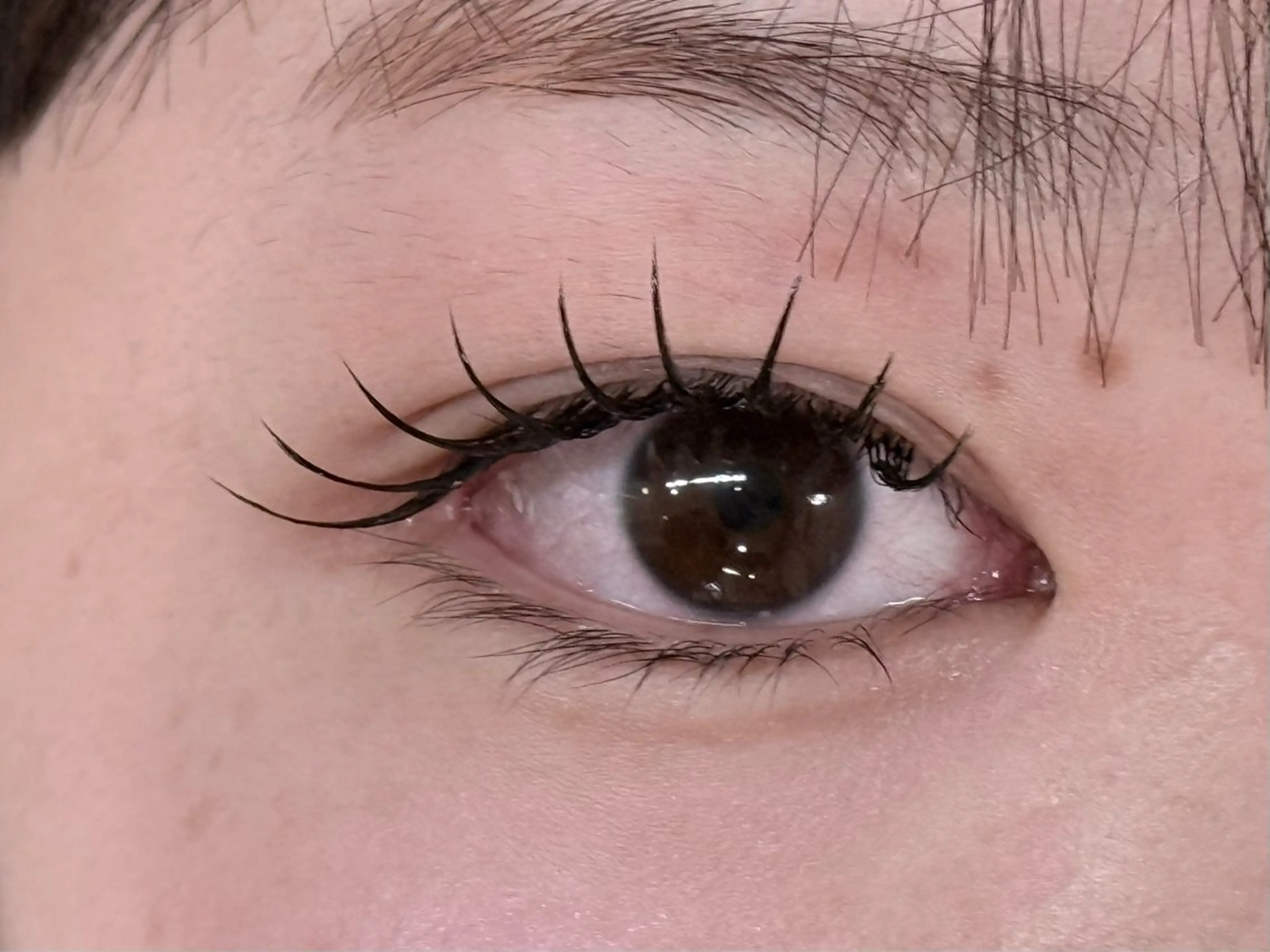 マツエク・マツパ マツエク 小林 花蓮のマツエク・マツパデザイン