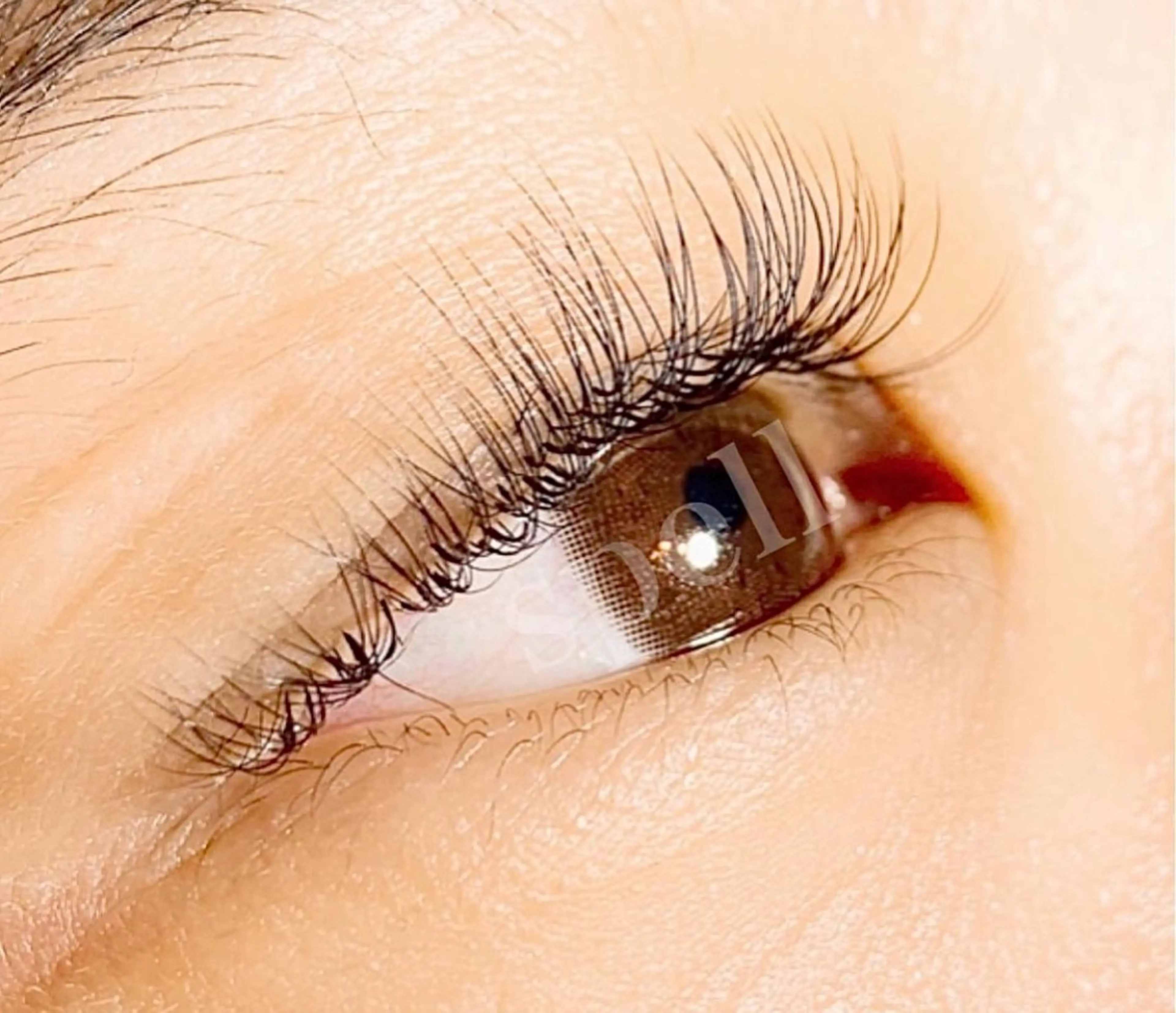 マツエク・マツパ spell_eyelash所属・spell eyelashのマツエク・マツパデザイン