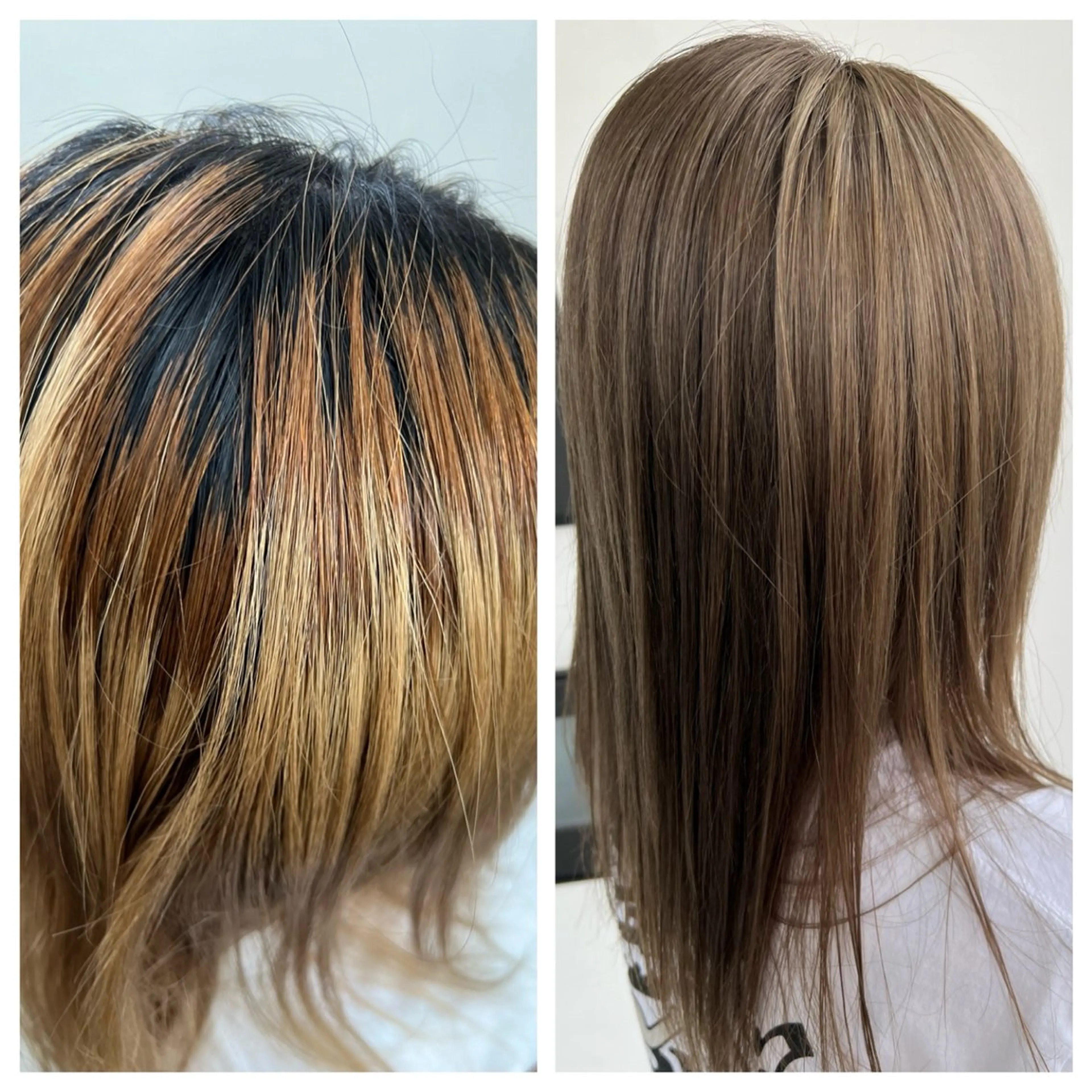 セミロング トリートメント 似合わせ／ショート 菊田のヘアスタイル