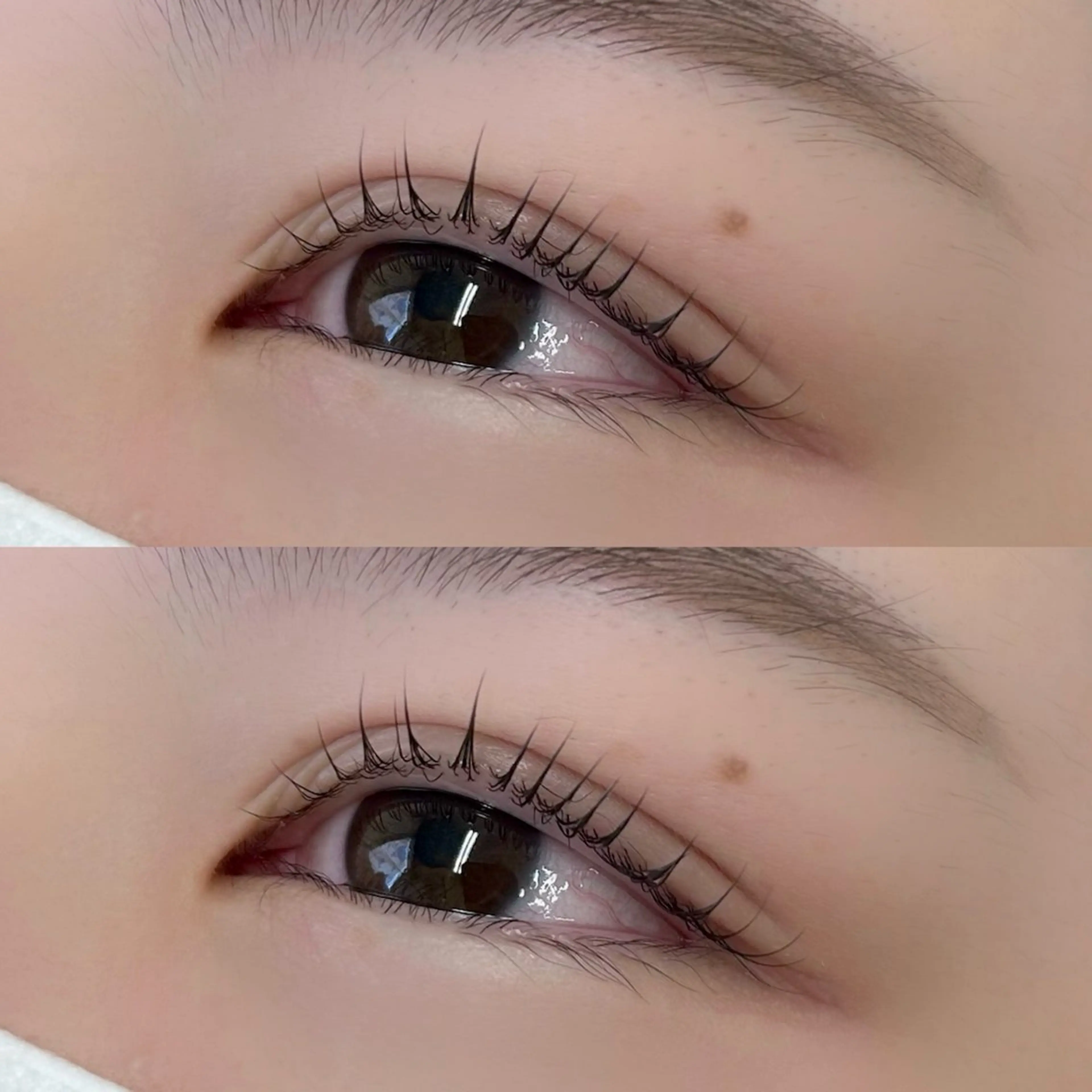 マツエク・マツパ 一重×まつ毛パーマ shucre Miyazakiのマツエク・マツパデザイン