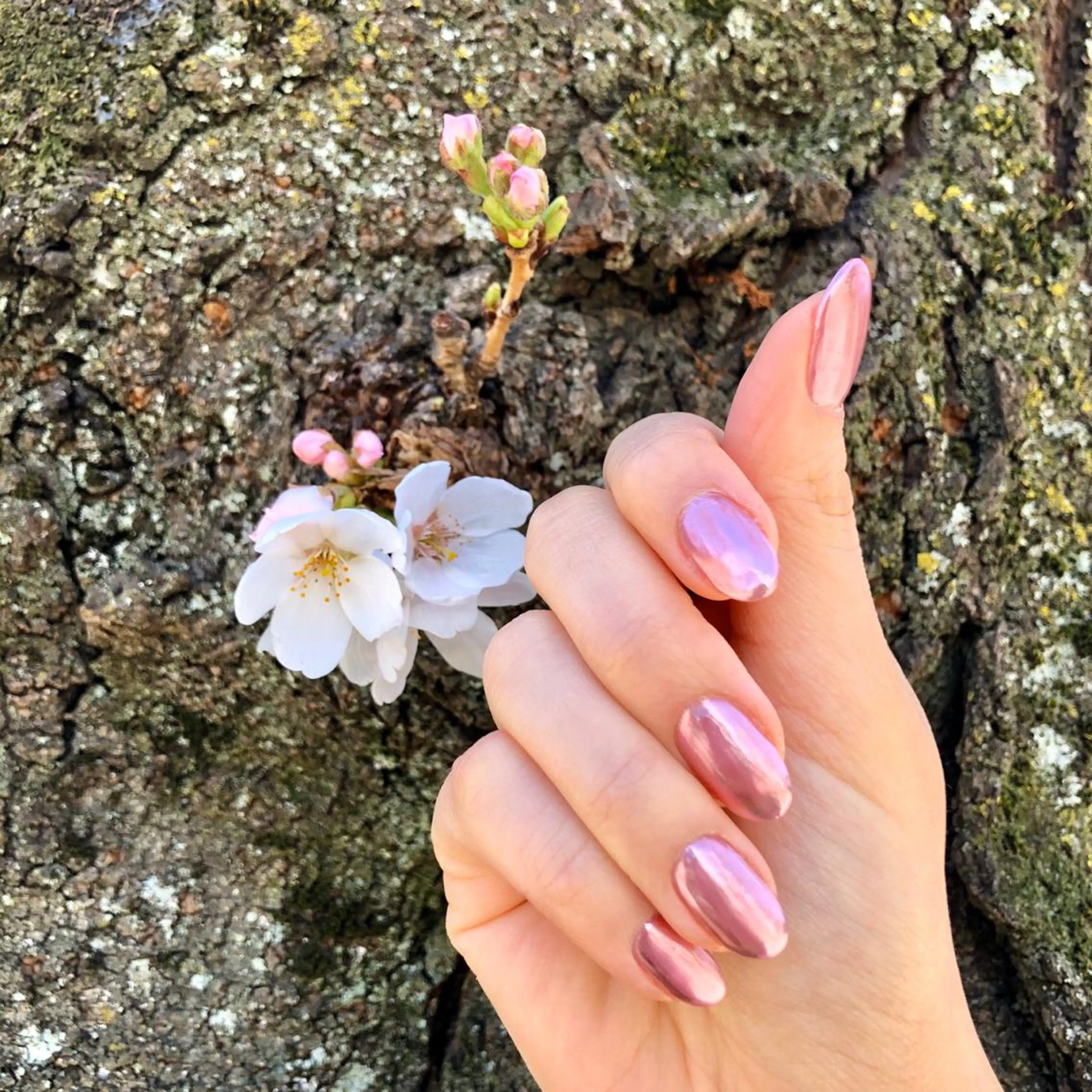 ネイル La neige* yuki 🥯🍑のネイルデザイン