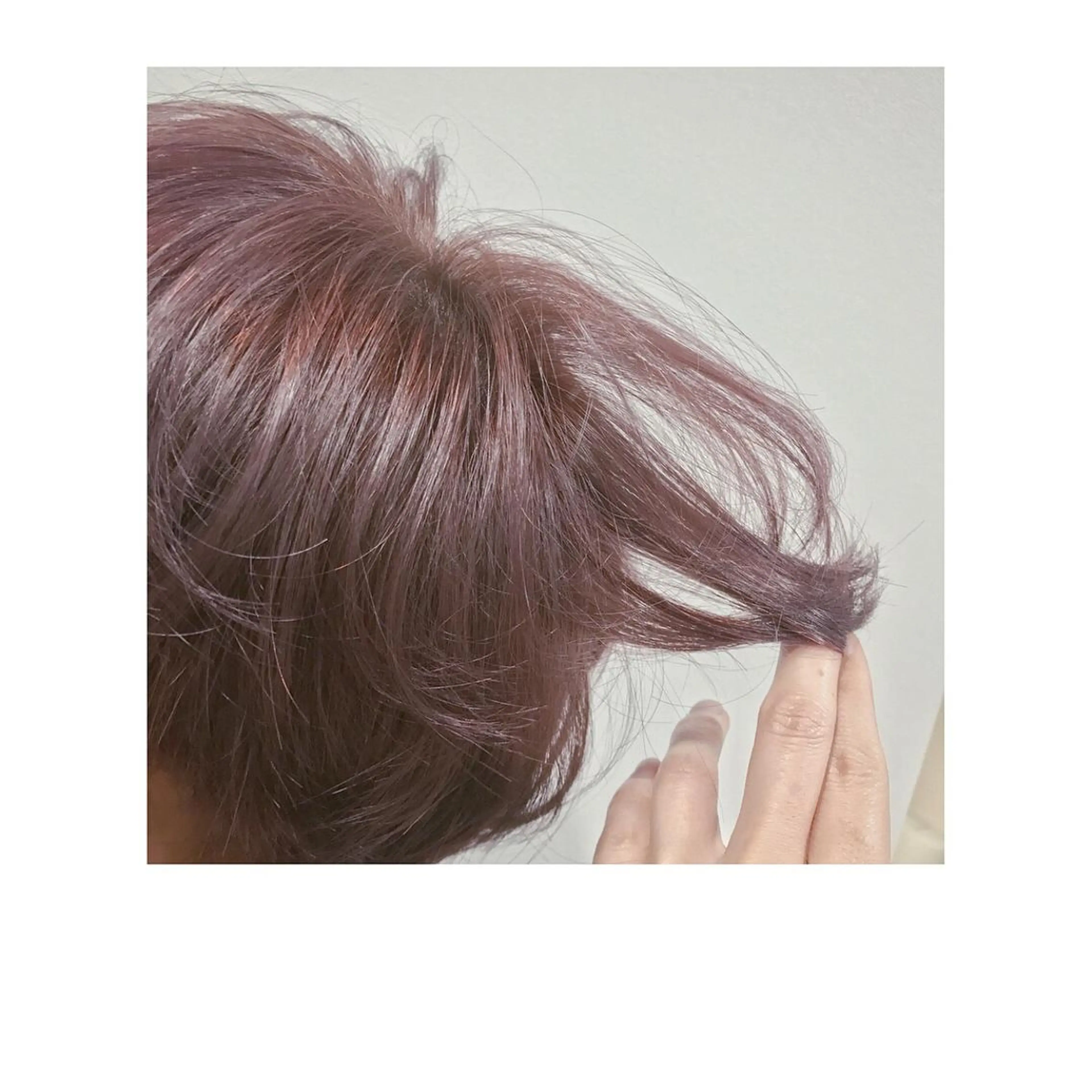 ショート カラー ブリーチ ピンクカラー HARUNA🤍 大人ショートヘアのヘアスタイル