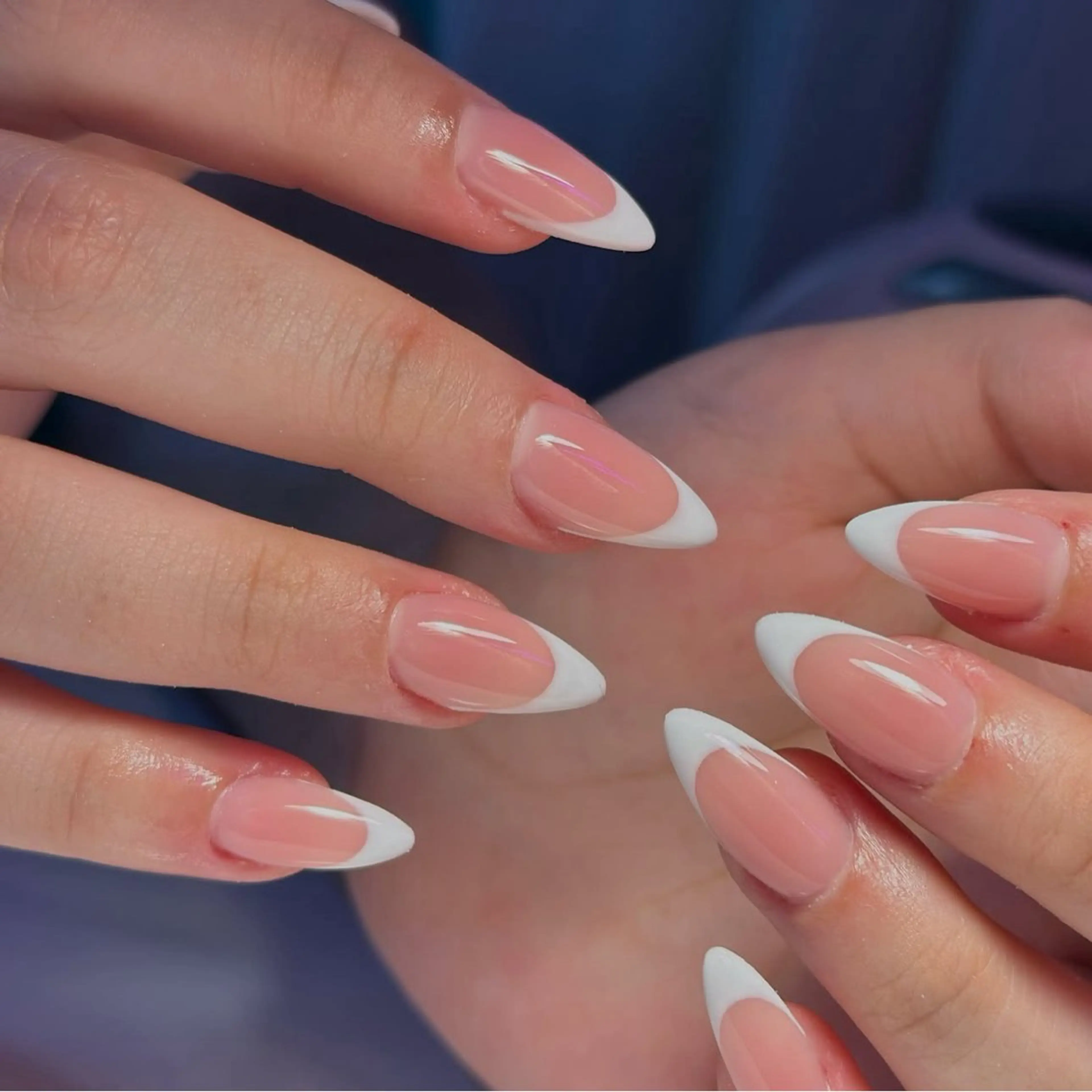 ネイル アートネイル チークネイル 韓国ネイル マグネットネイル ニュアンスネイル ハンドネイル NAILS168 新大久保店のネイルデザイン