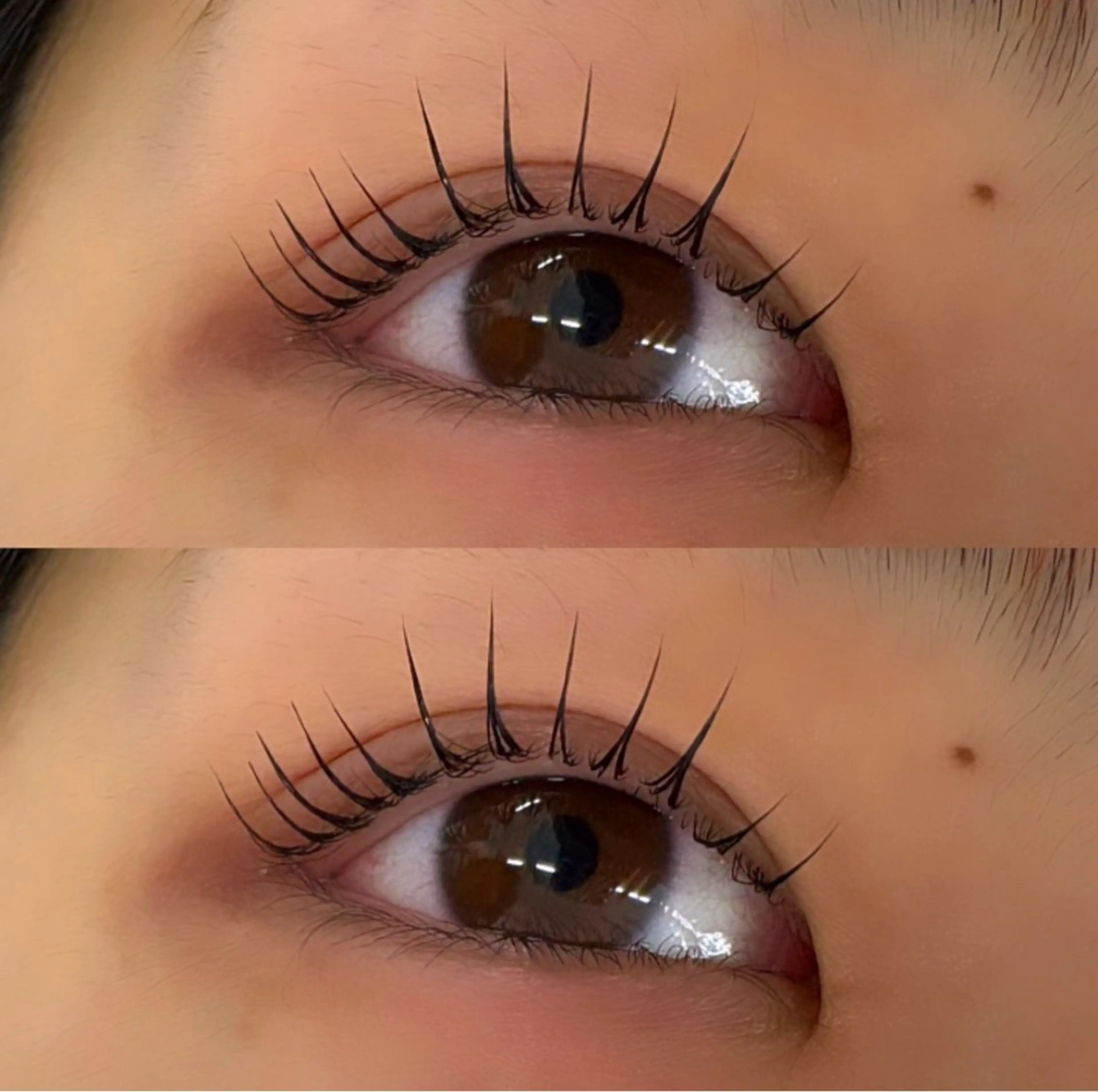 次世代パリジェヌ＋美容液option付🪻の写真